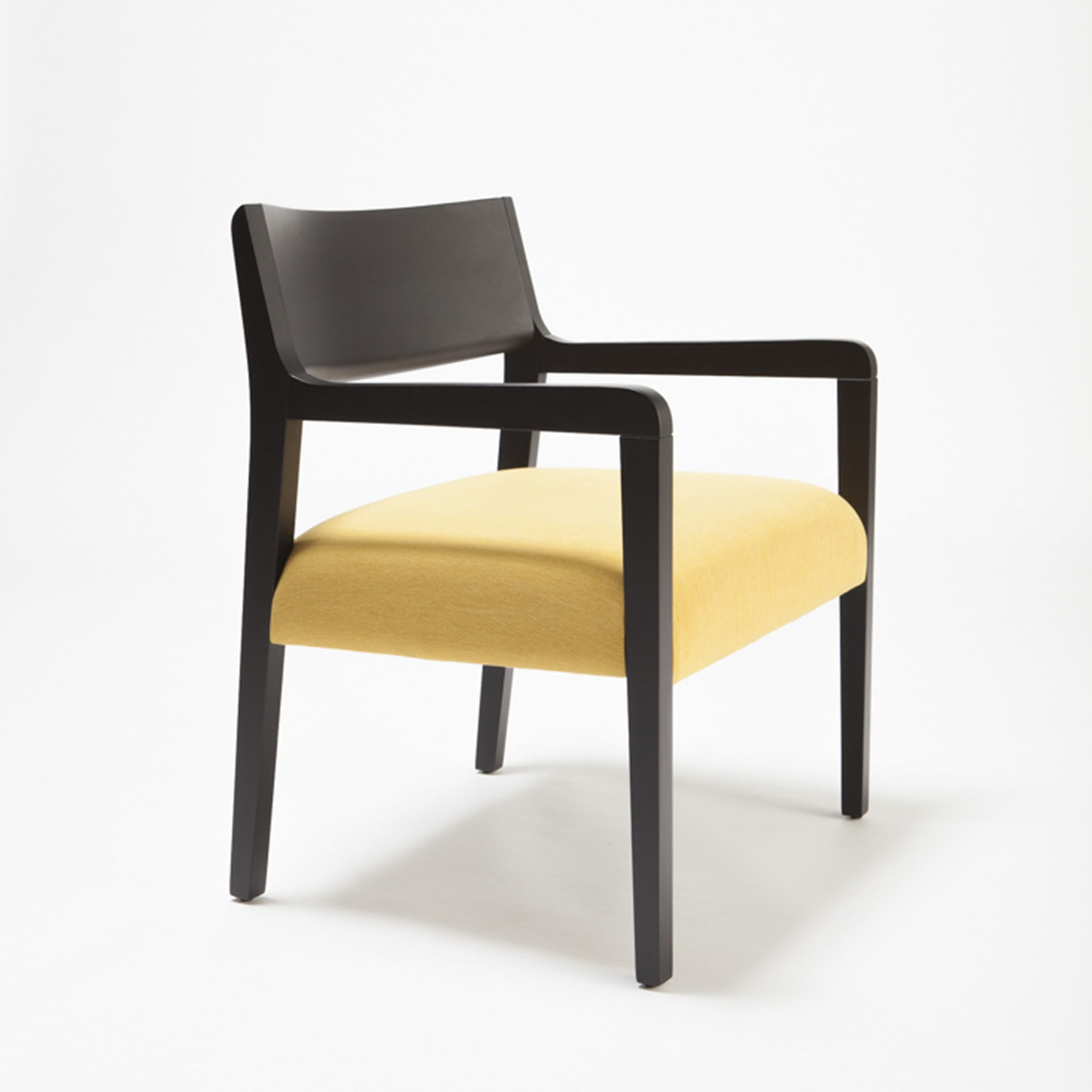 Amarcord Lounge Chair - Alternative view 1