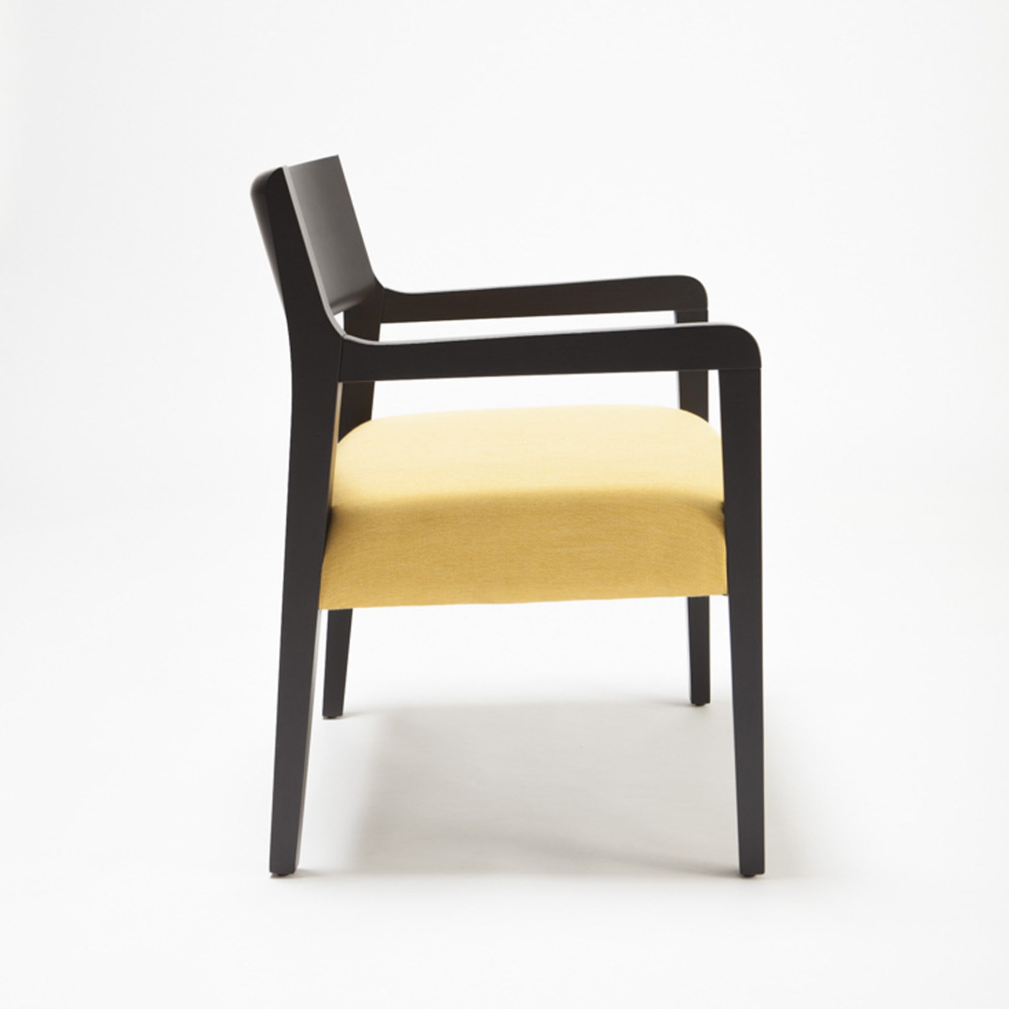 Amarcord Lounge Chair - Alternative view 2