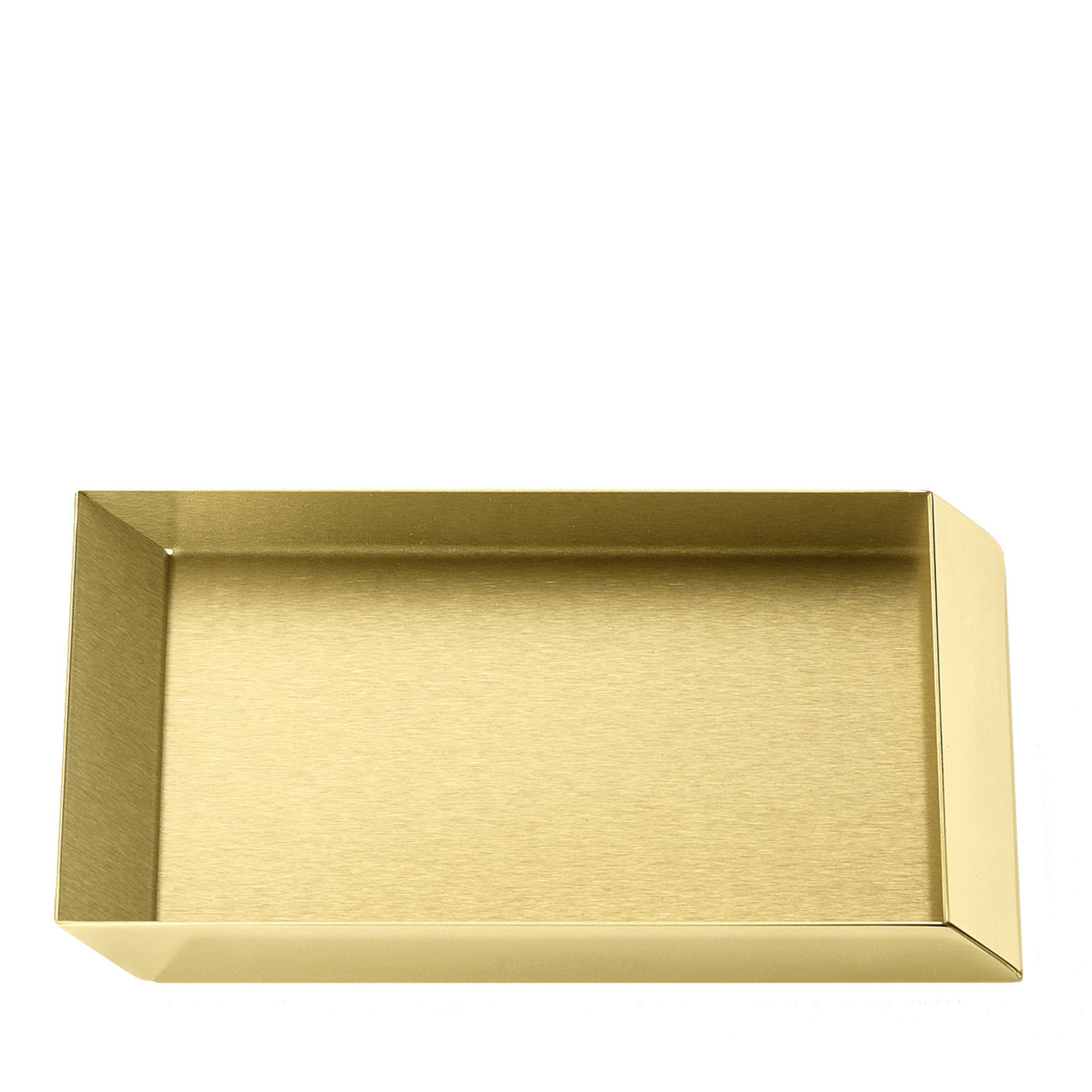 Axonometry Polished Brass Small Rectangular Tray By Elisa Giovannoni - Main view