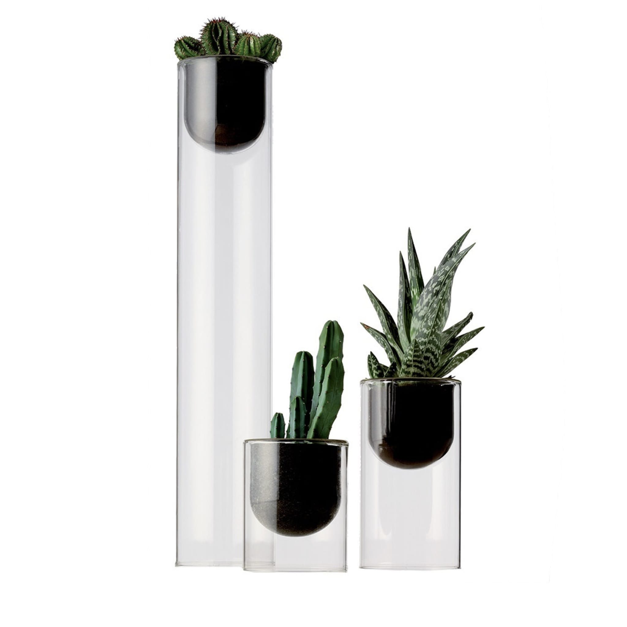 Set of 3 Topless Plant Container - Main view