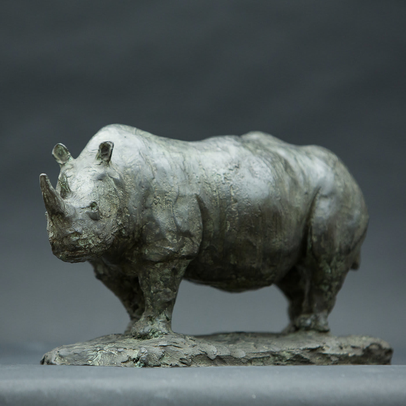 Rhinoceros Bronze Sculpture - Galleria Romanelli