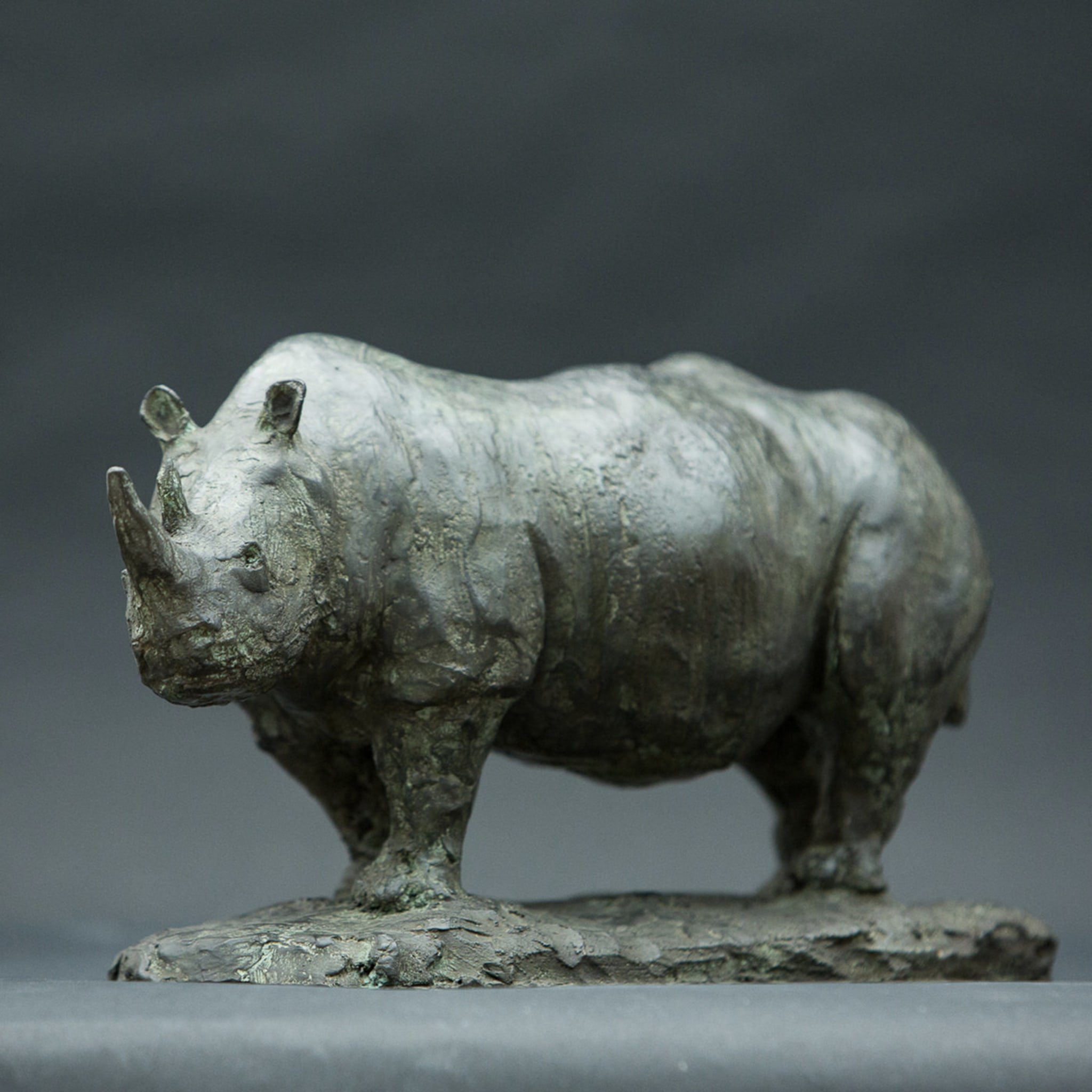 Rhinoceros Bronze Sculpture - Alternative view 1