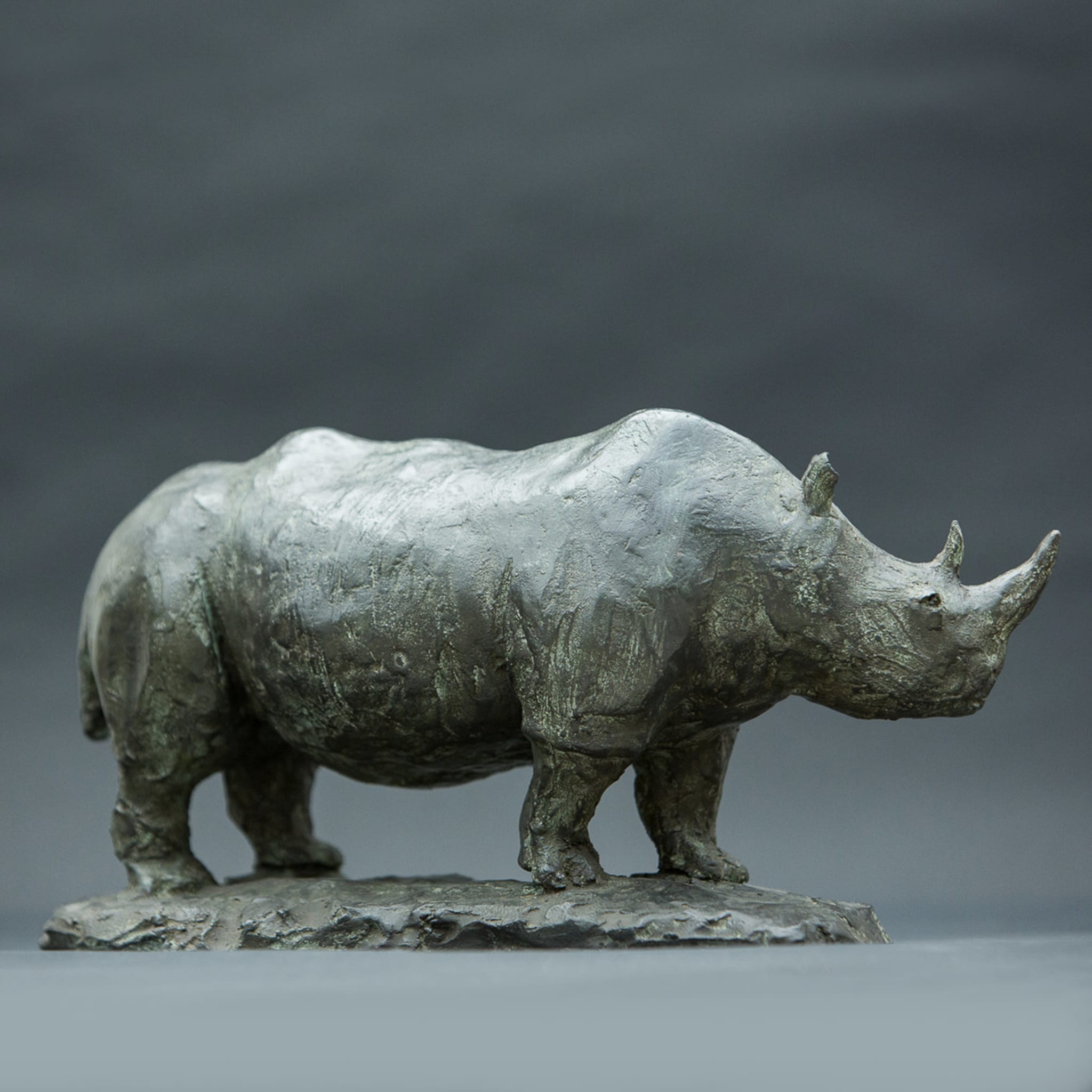 Rhinozeros Bronze Skulptur - Alternative Ansicht 2