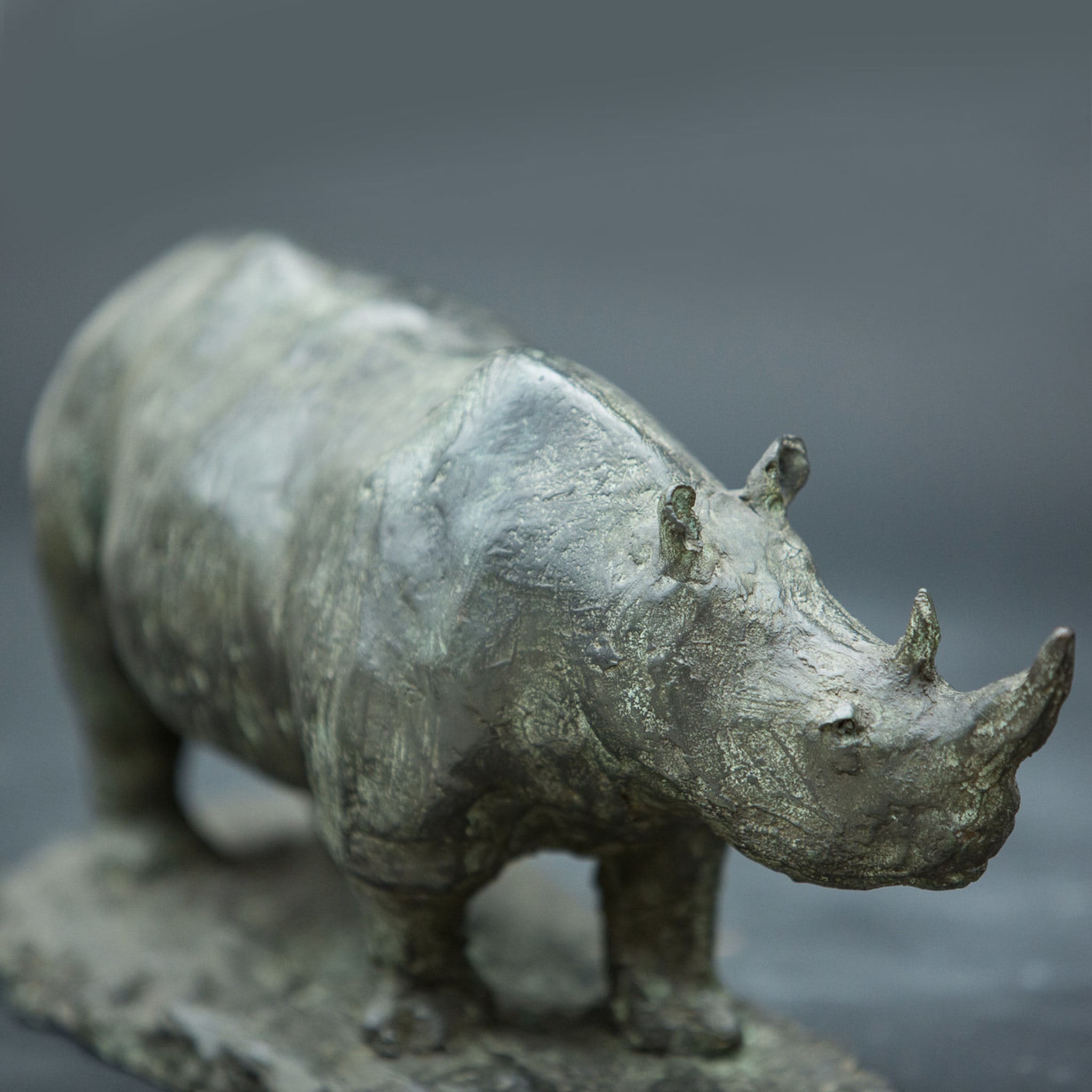 Rhinoceros Bronze Sculpture - Alternative view 3