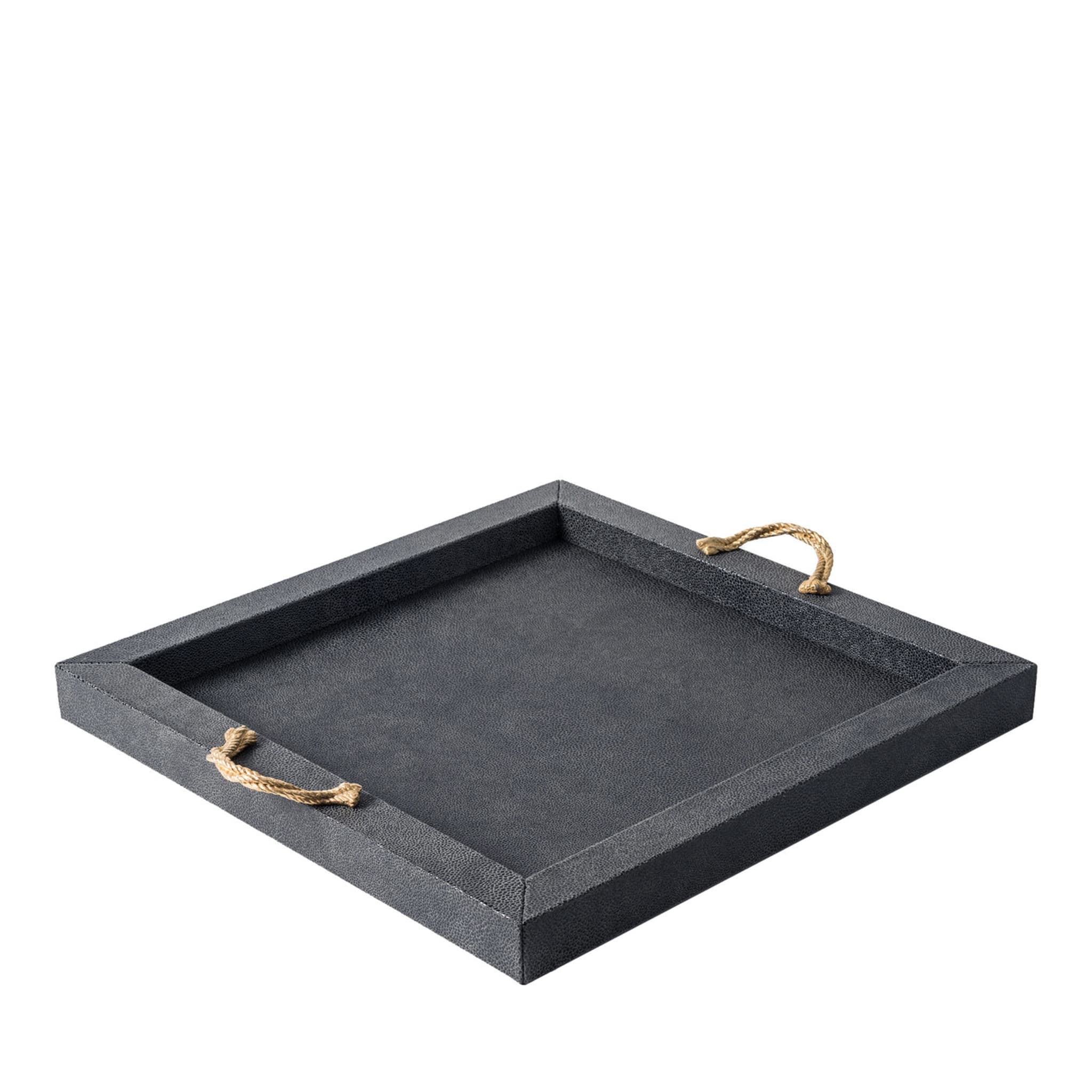 Thalia Black Square Tray with 24K Gold - Main view