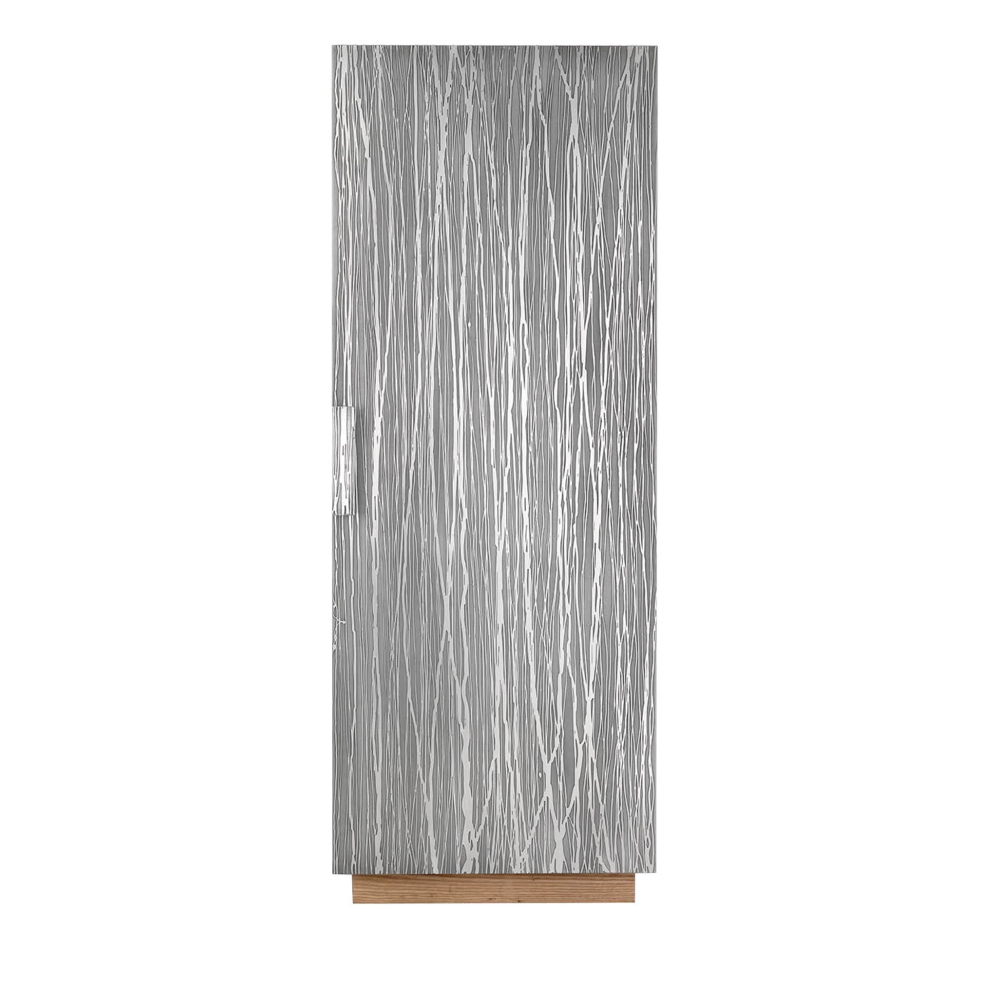 Aluminum One-Door Tall Cabinet - Main view
