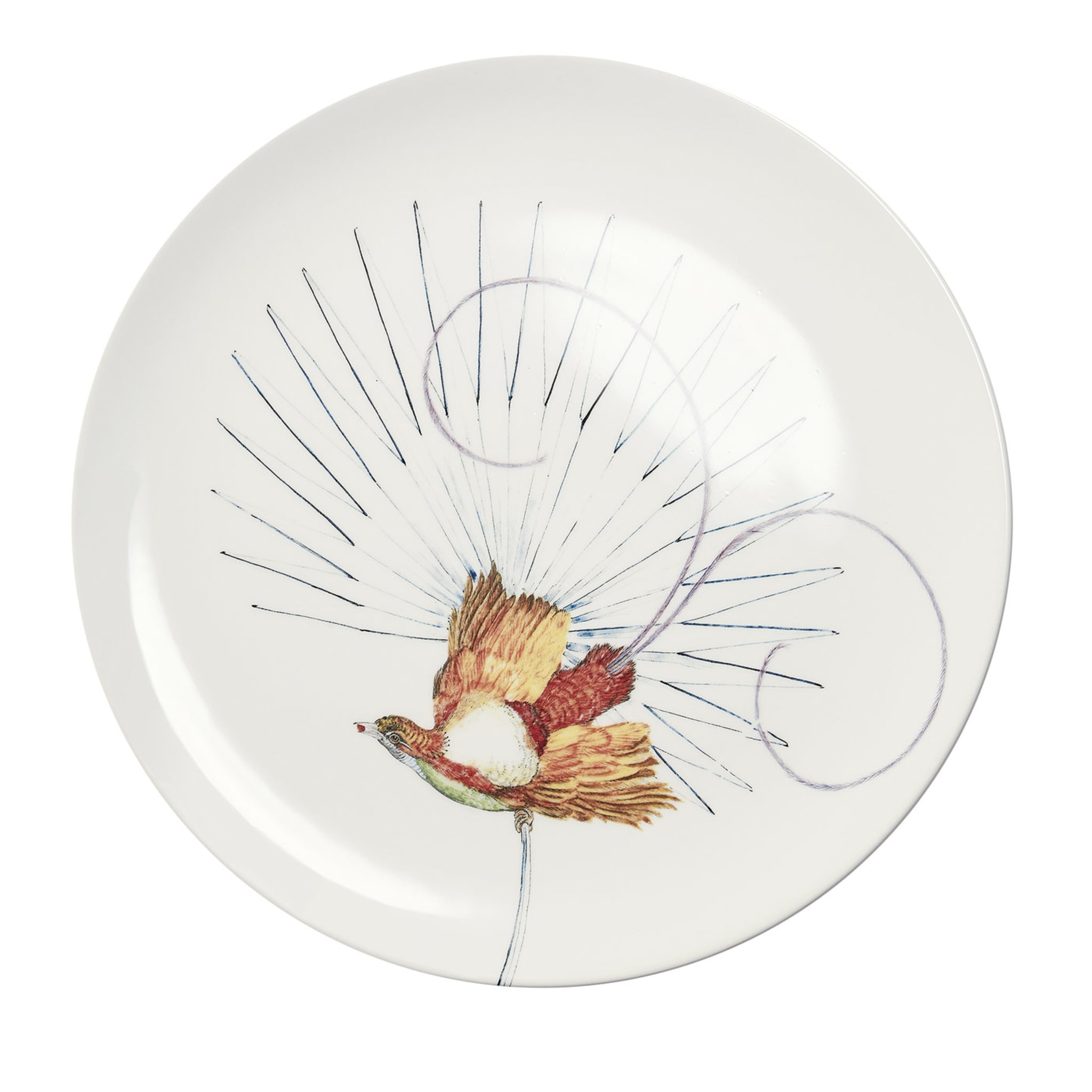 Assiette plate blanche Birds of Paradise #1 - Vue principale