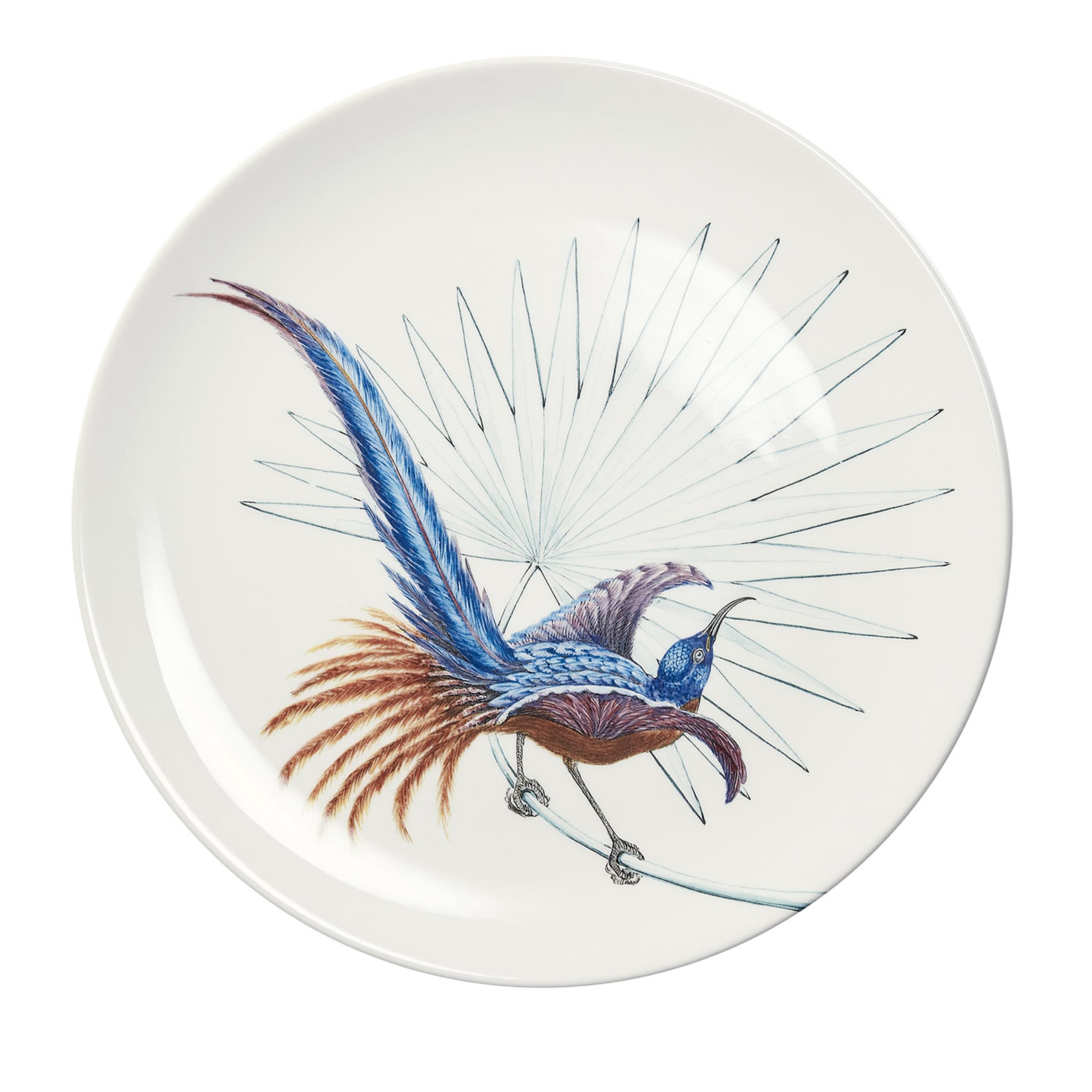 Assiette plate blanche Birds of Paradise #4 - Vue principale