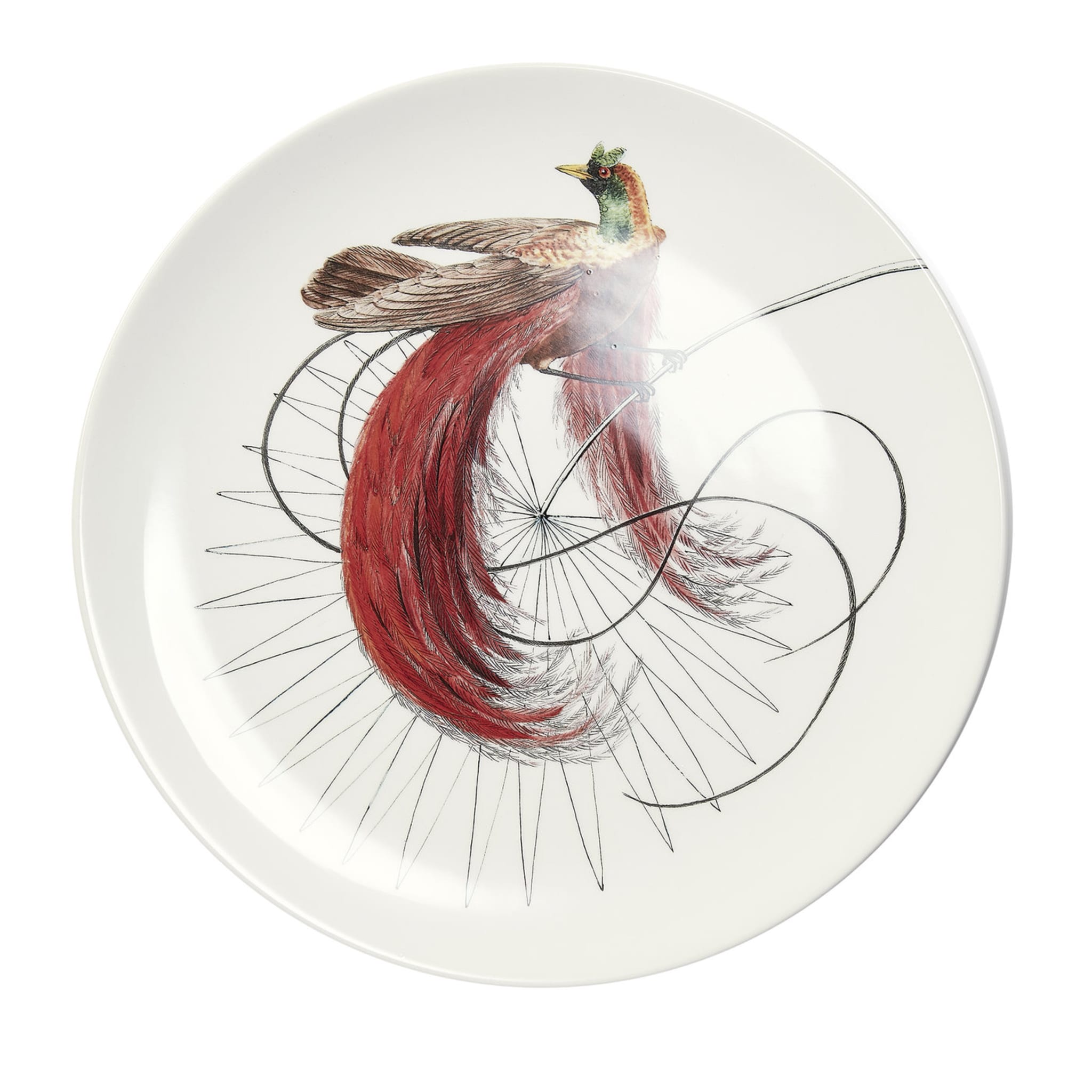 Assiette plate blanche Birds of Paradise #5 - Vue principale