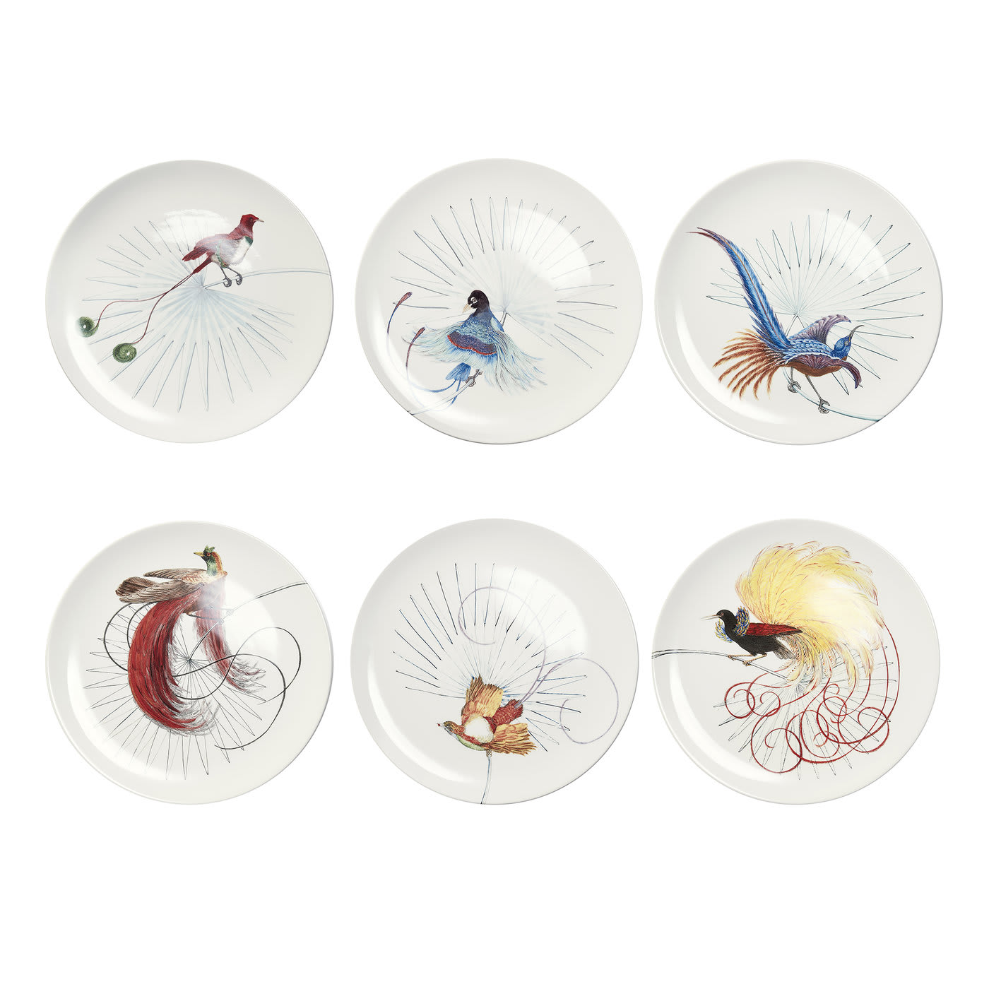 Birds of Paradise White Dinner Plate Set of 6 - Laboratorio Paravicini