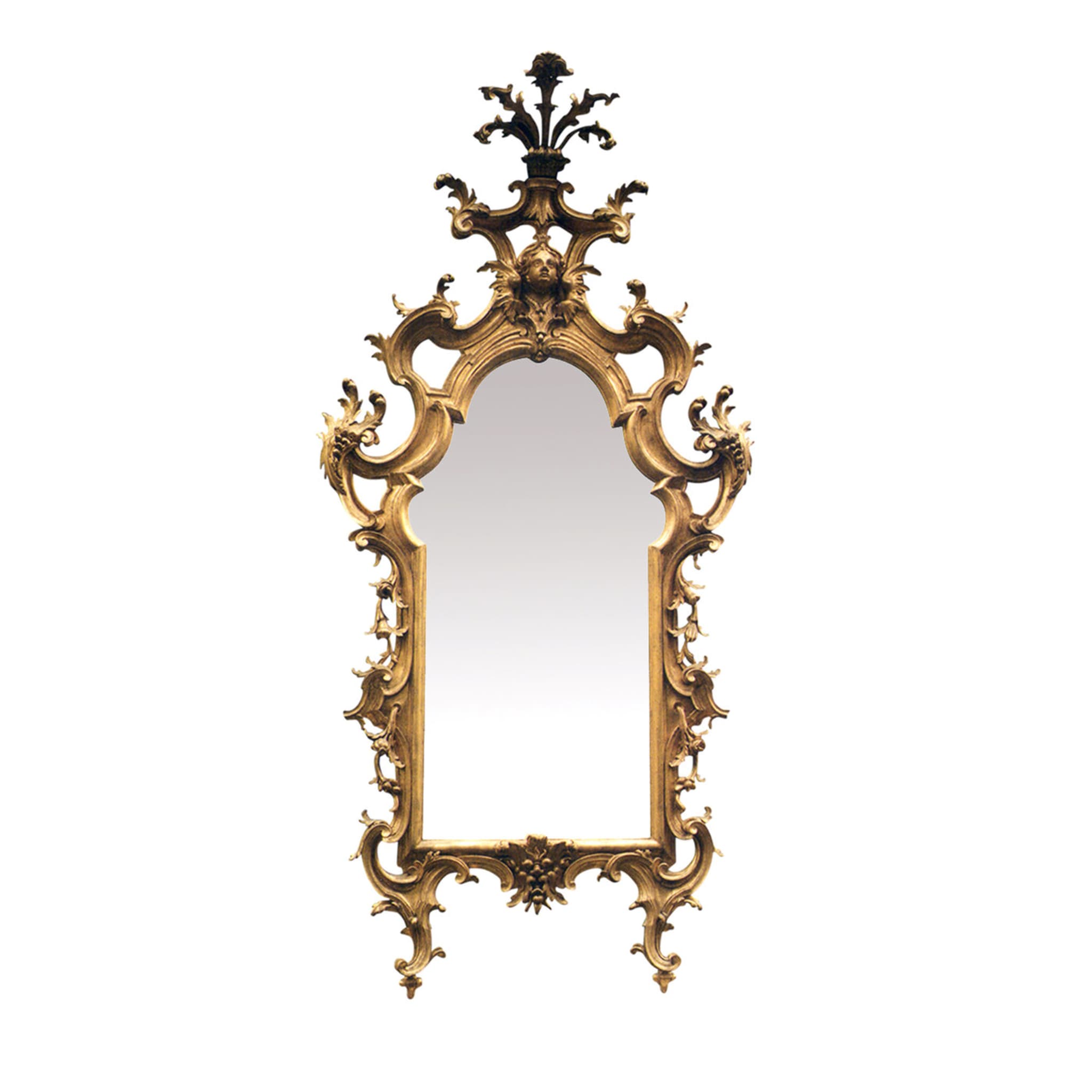 Louis XIV Huge Carved Wood Mirror - Main view