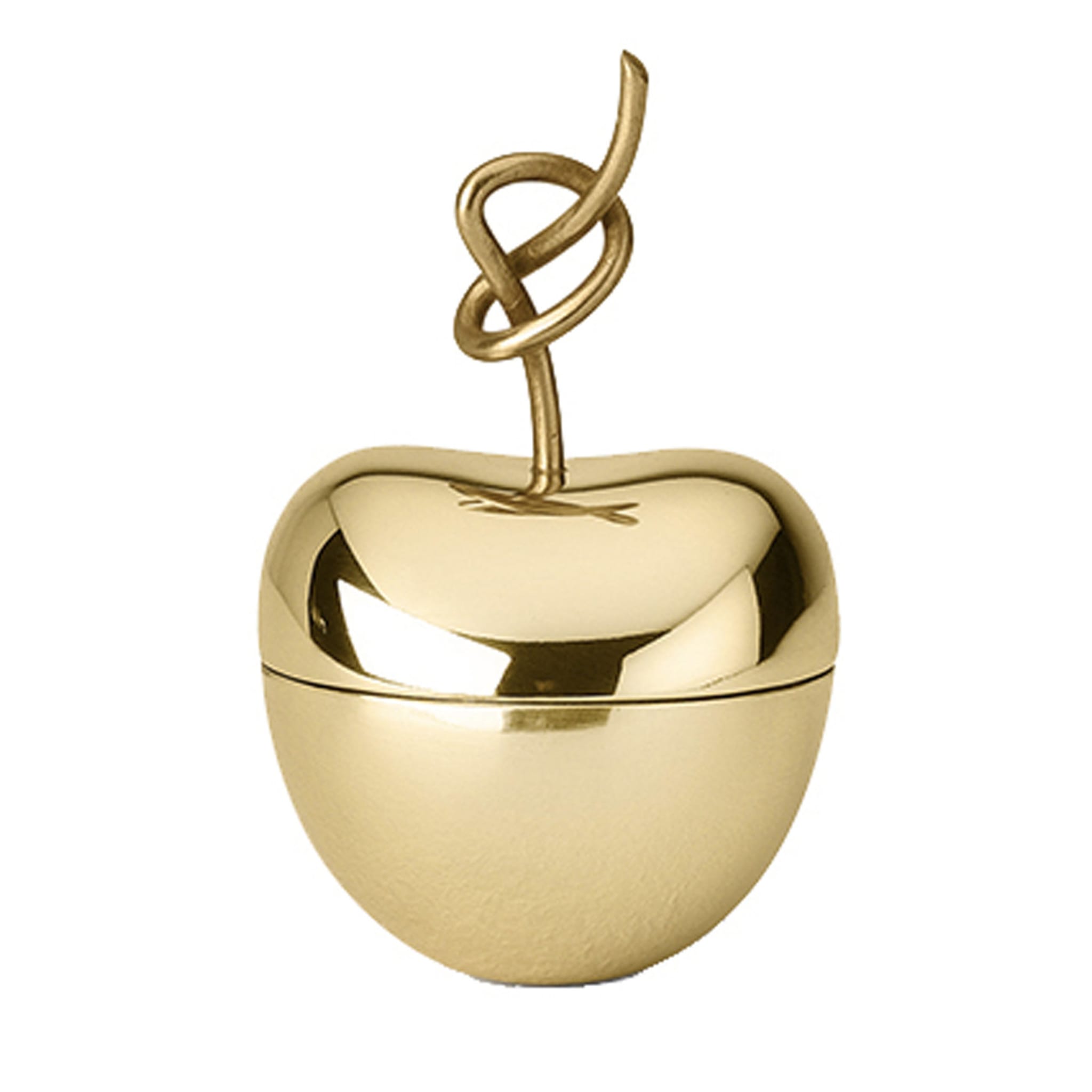Knotted Cherry Small Box in Brass By Nika Zupanc - Main view