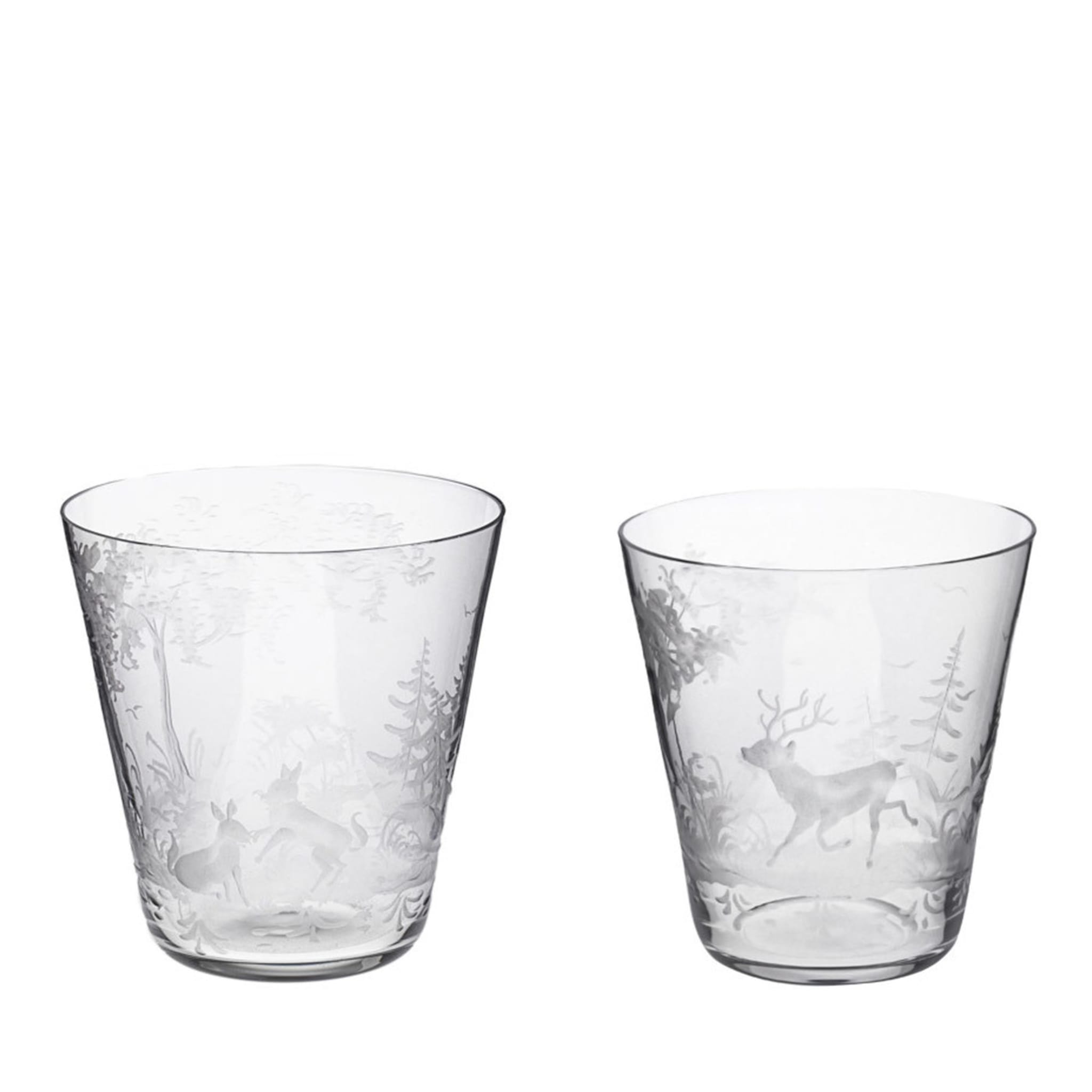 Wine and Water Foresta Crystal Glasses - Main view