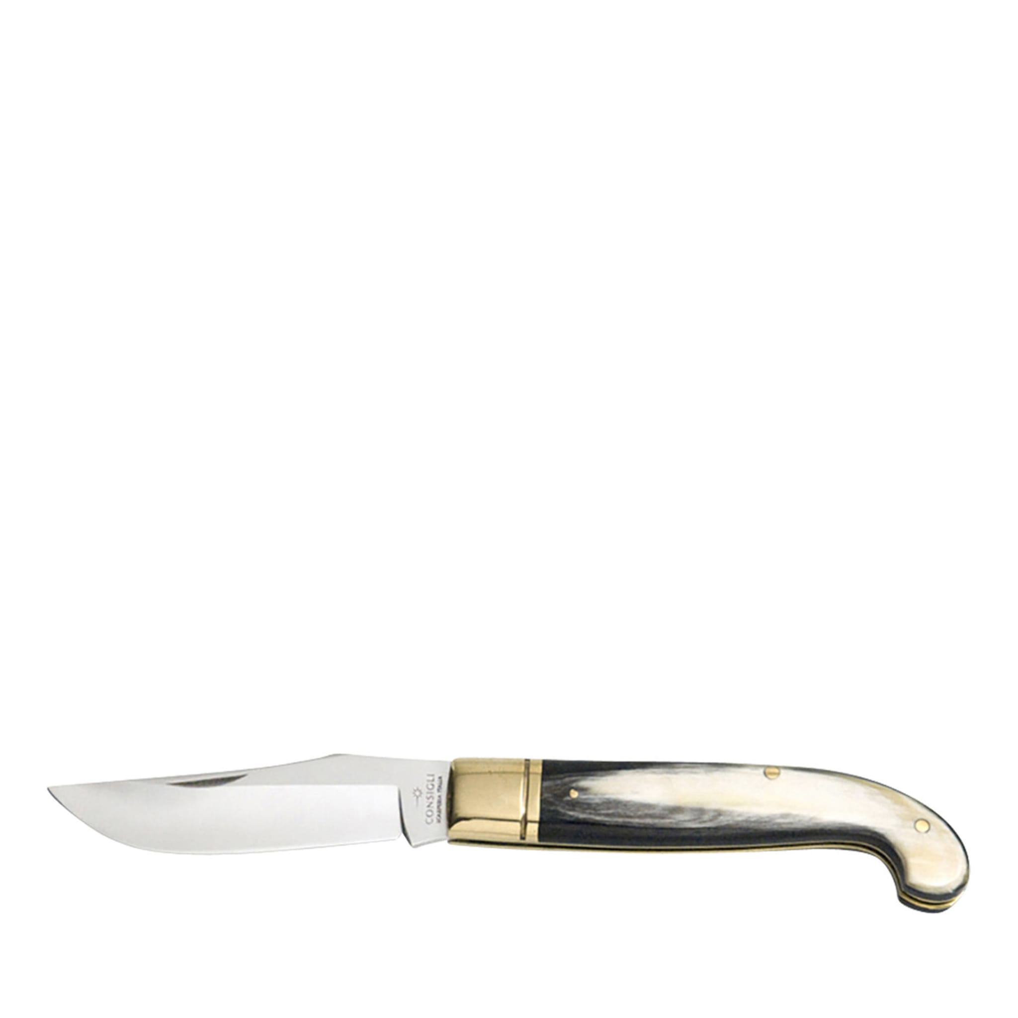 Zuava Pocket Knife with Ox Horn Handle - Main view