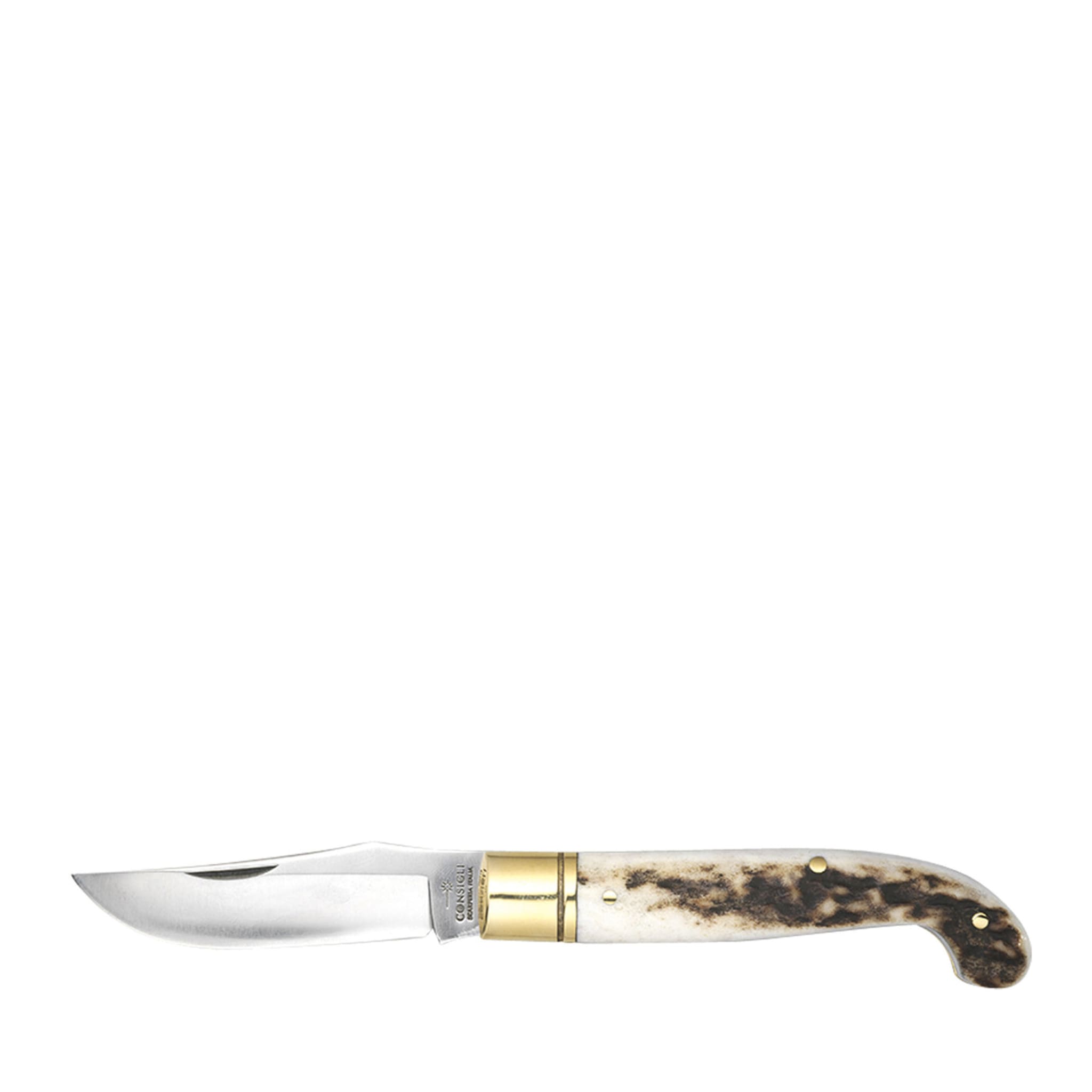 Zuava Pocket Knife with Deer Horn Handle - Main view