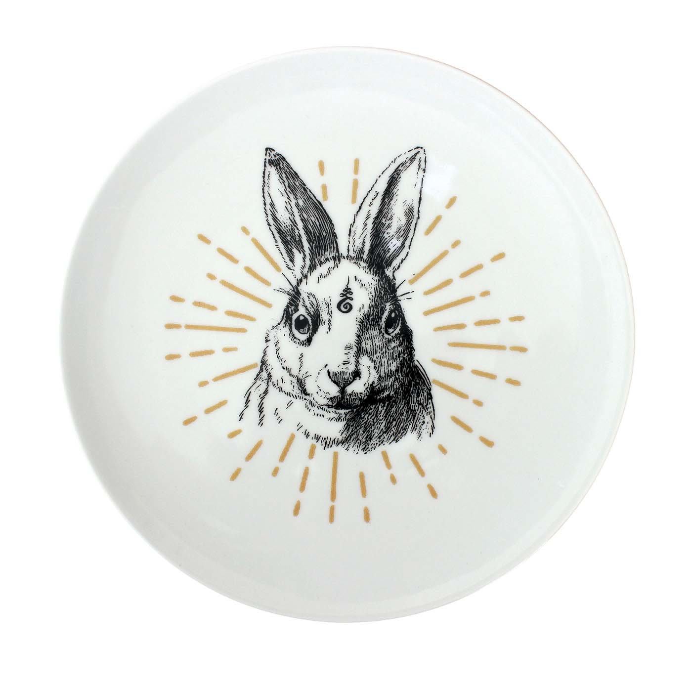 Set of 6 Rabbit Medium Plates - ConsueloC Illustration