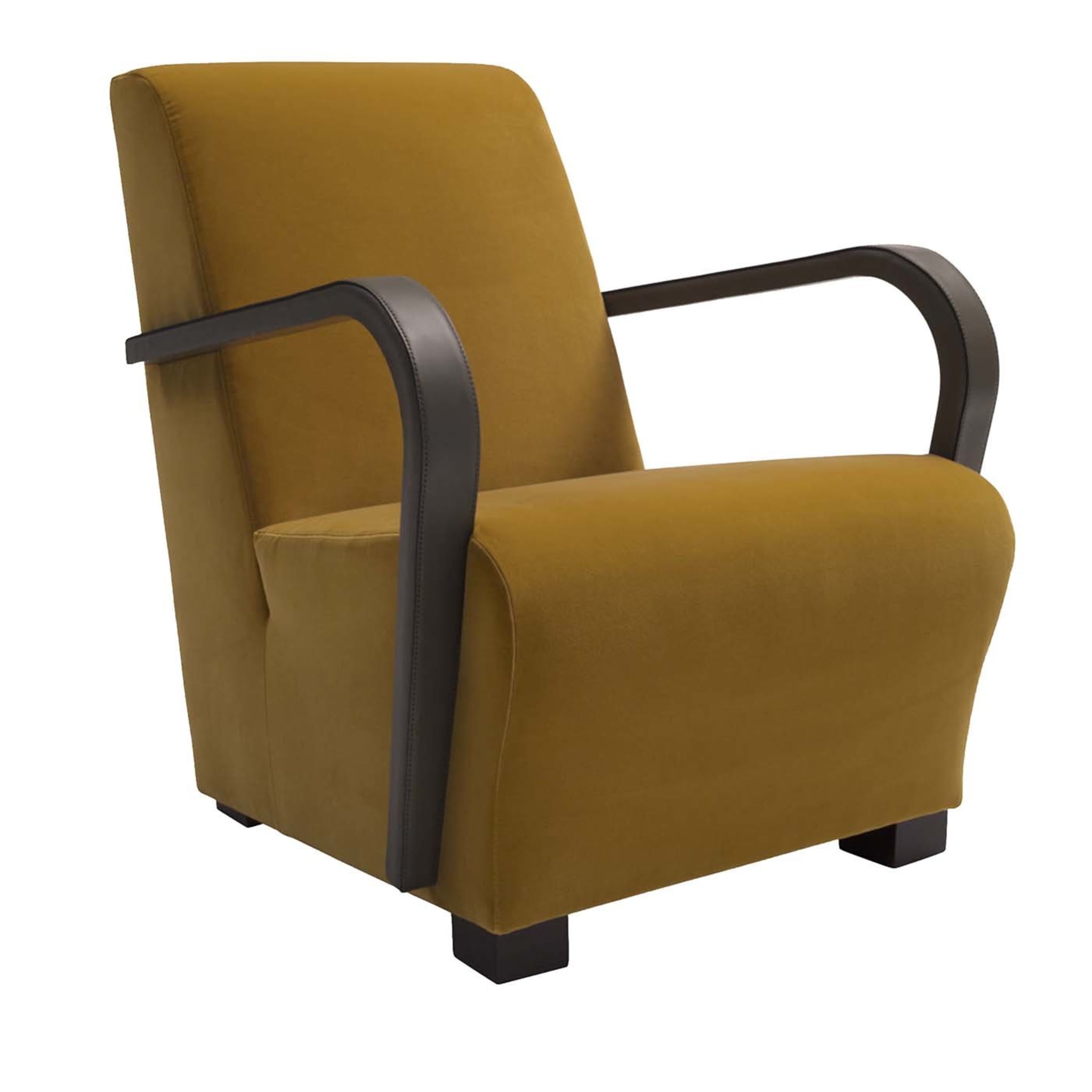 Marylin Armchair with Brown Leather Armrests - Main view