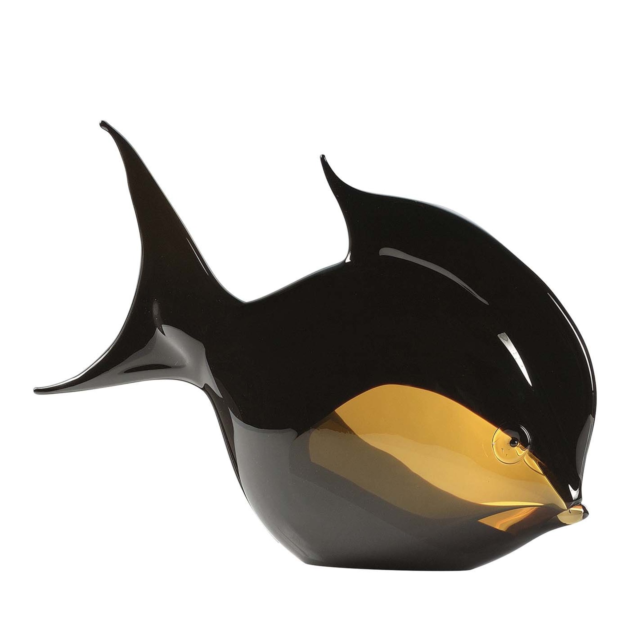 Poisson Orata ambre et noir d'aquarium - Vue principale