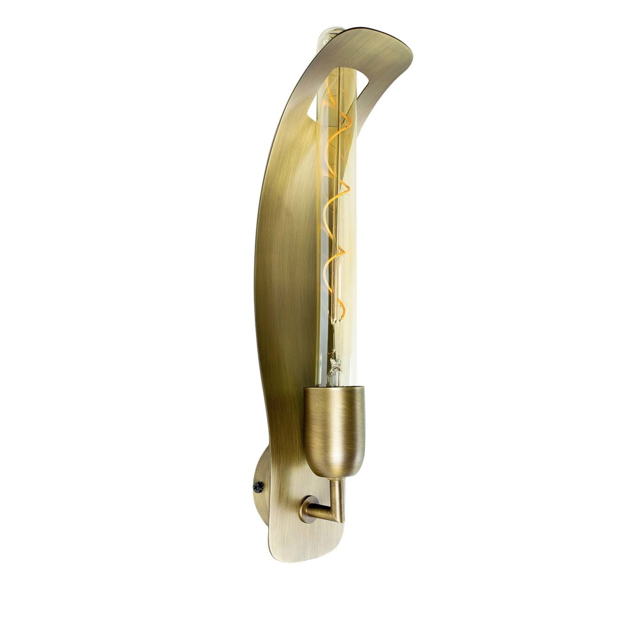 Plac T300 Sconce - Main view
