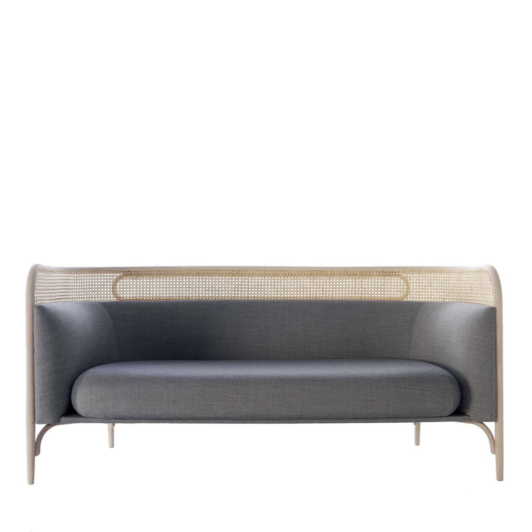 Targa 2-Seat Sofa in Dark Grey by GamFratesi - Main view