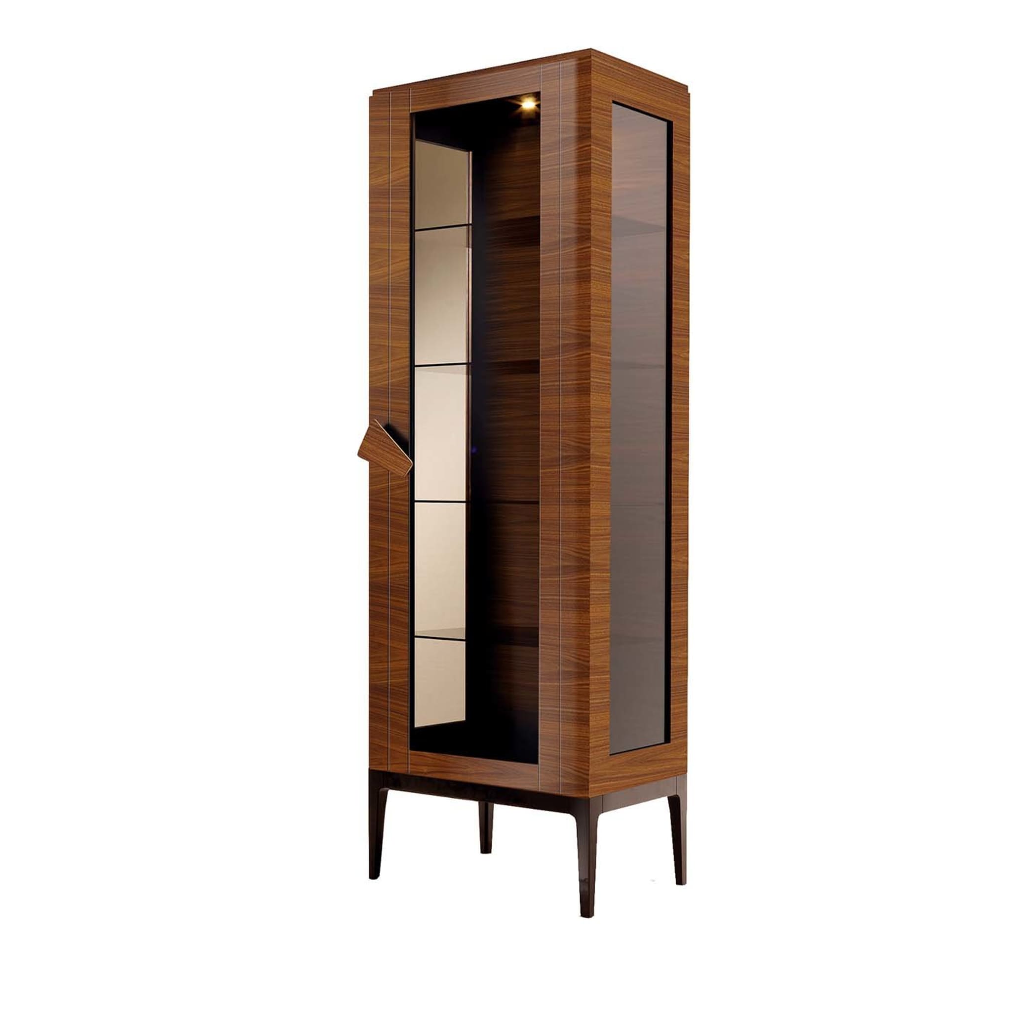 Zarafa 1-Door Display Cabinet - Vue principale