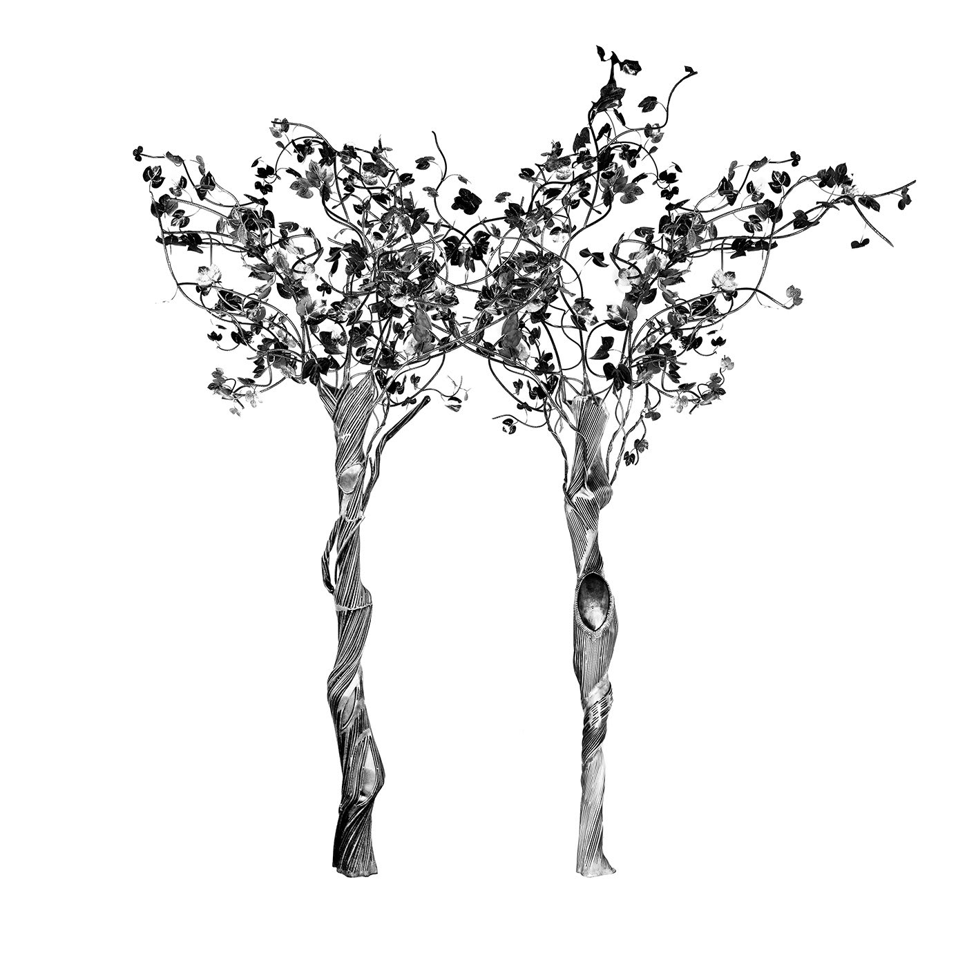 Arbor Vitae Pair of Sculptures - La Fucina di Efesto