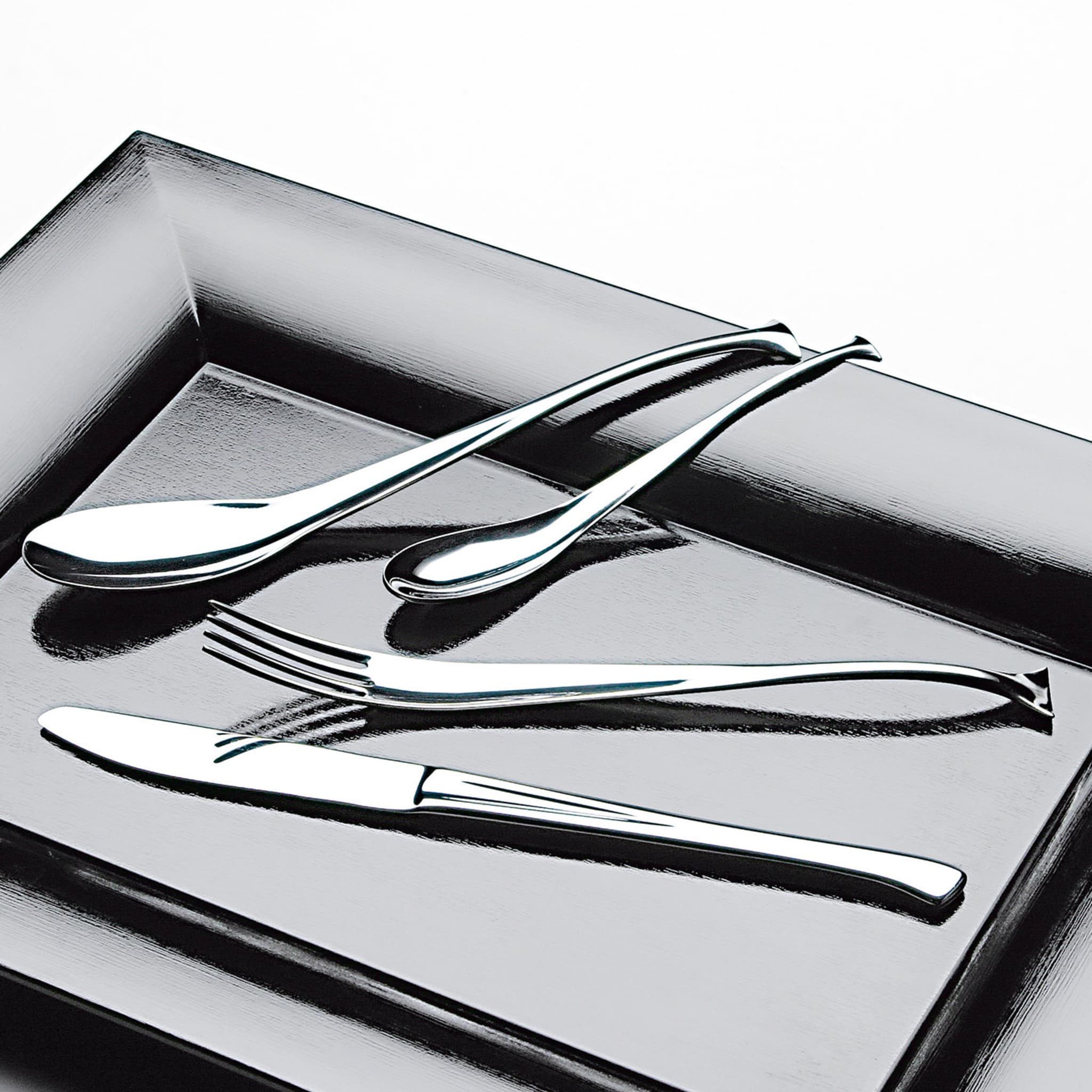 Dolphin 16-Piece Flatware Place Setting - Alternative view 1