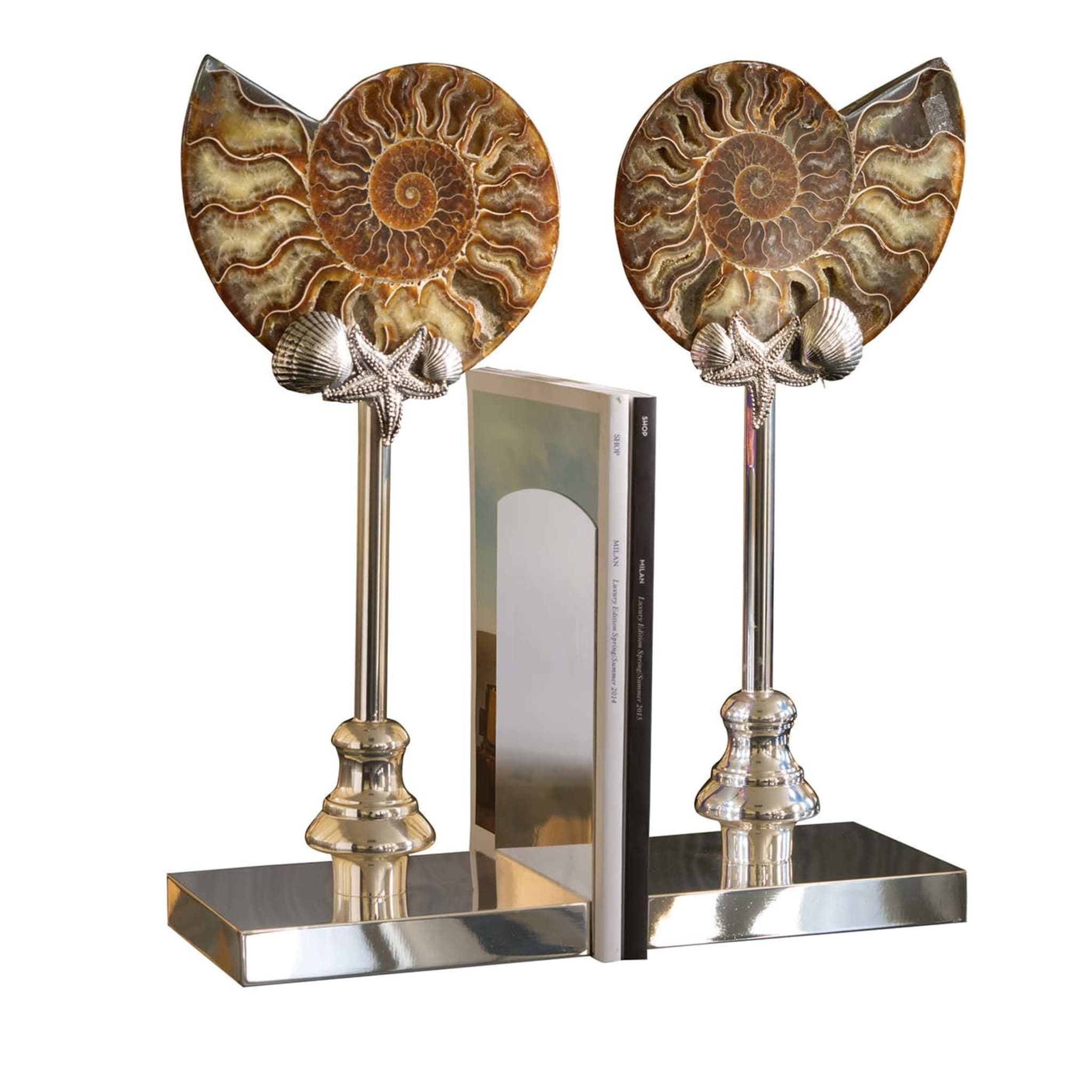 Ammonite Bookends - Main view