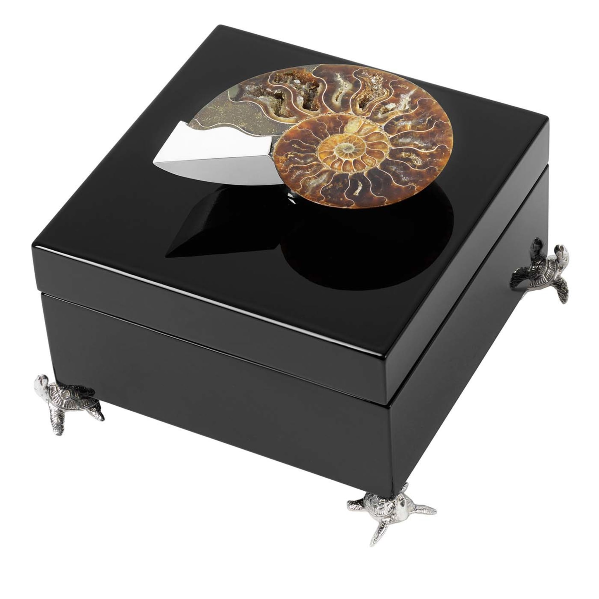 Scatola nera con ammonite - Vista principale