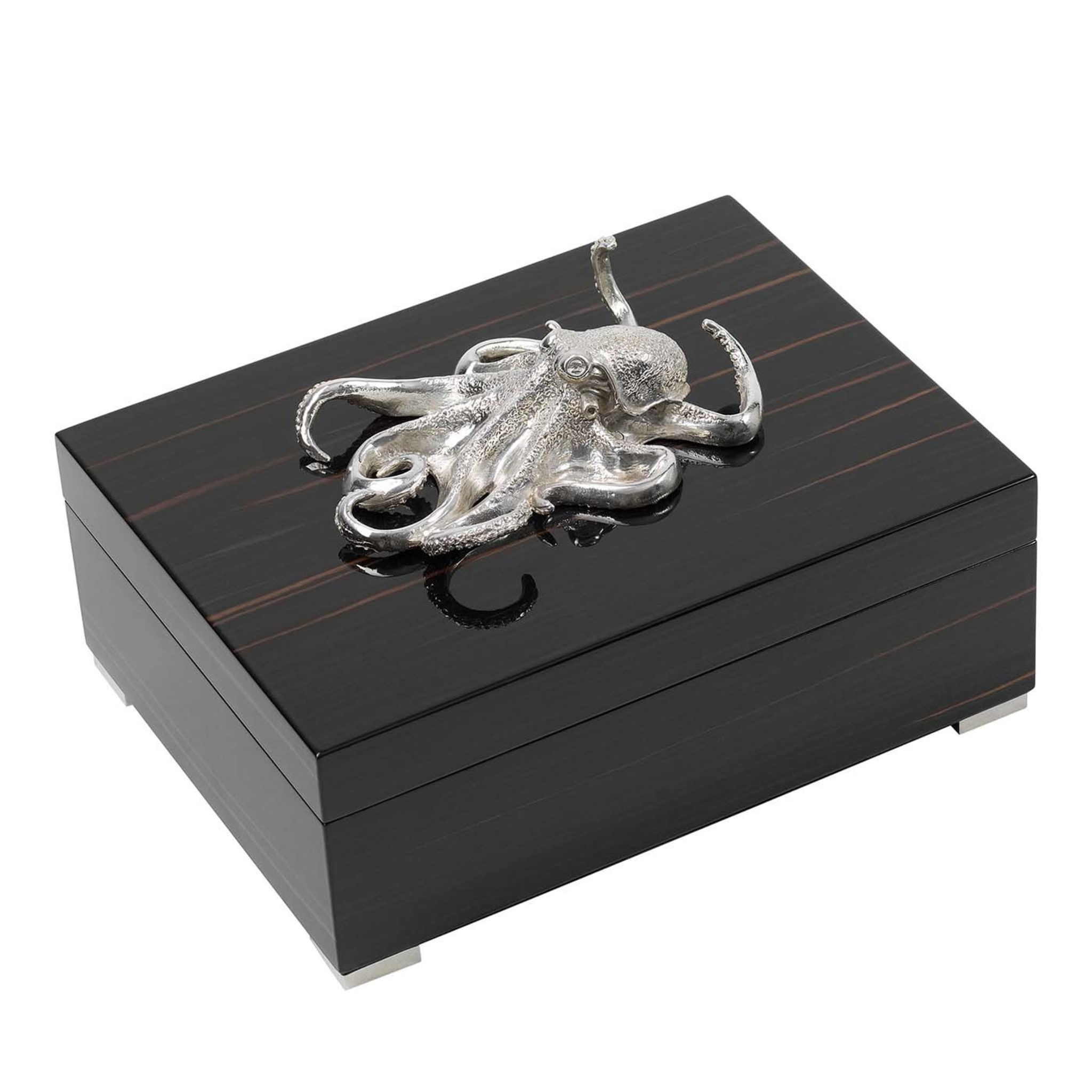 Rechteckige Box aus Ebenholz mit silbernem Oktopus - Hauptansicht