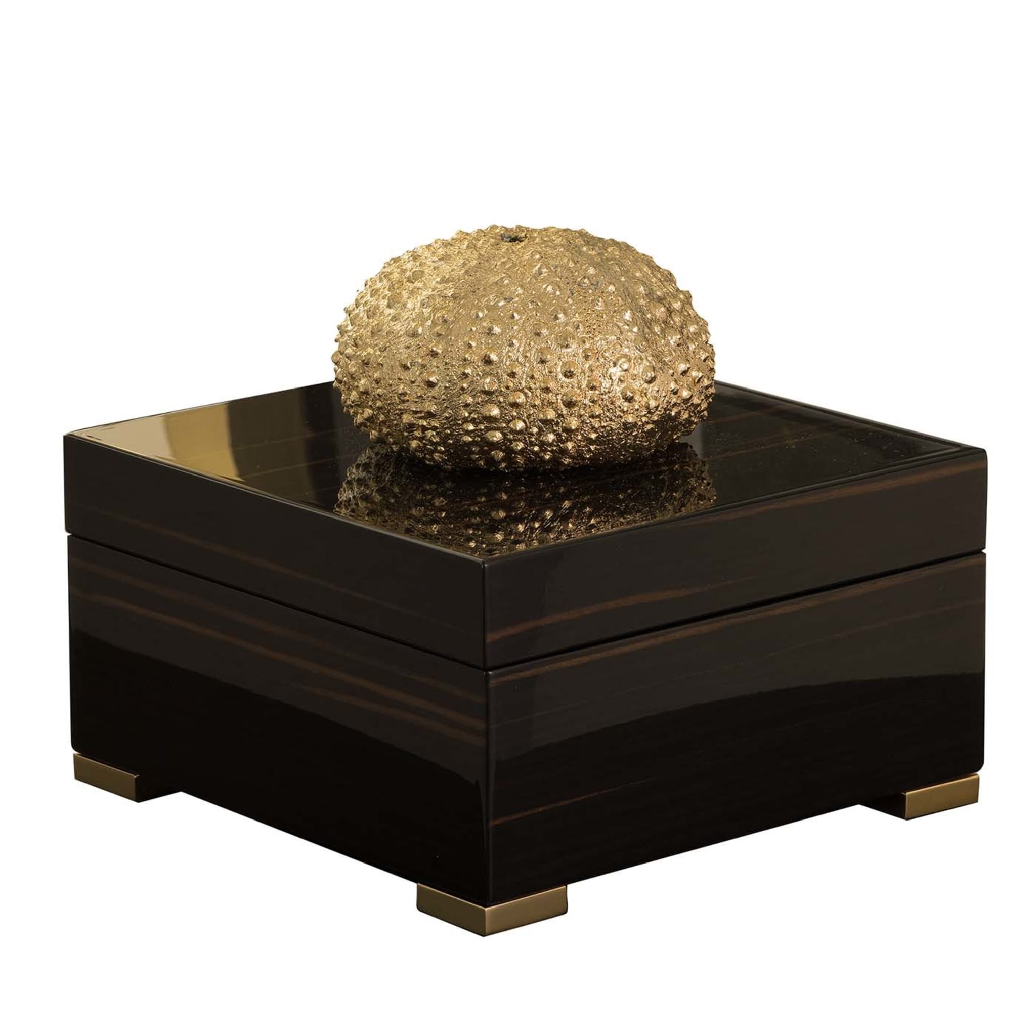 Caja cuadrada de ébano con erizo de mar dorado - Vista principal