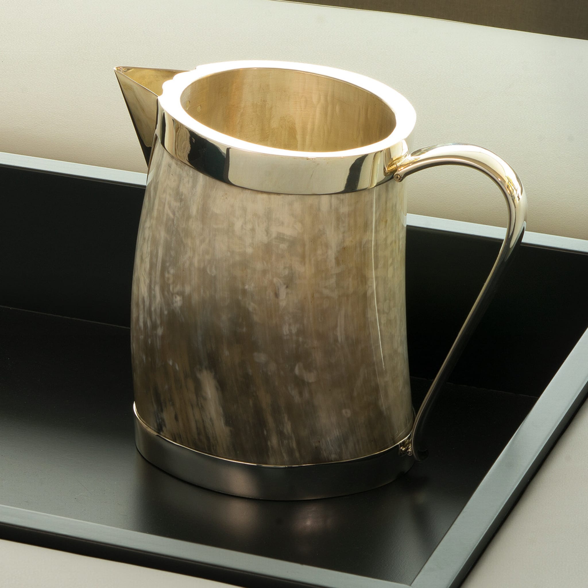 Silver and Horn Pitcher - Alternative view 1