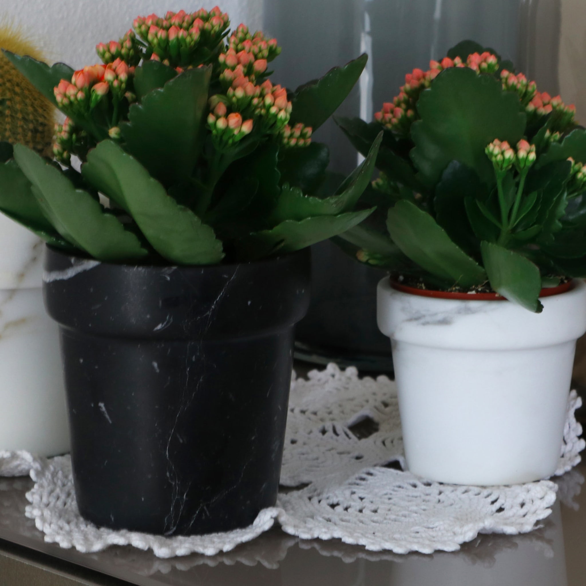 Mini vase à cactus en marbre blanc Calcatta - Vue alternative 1