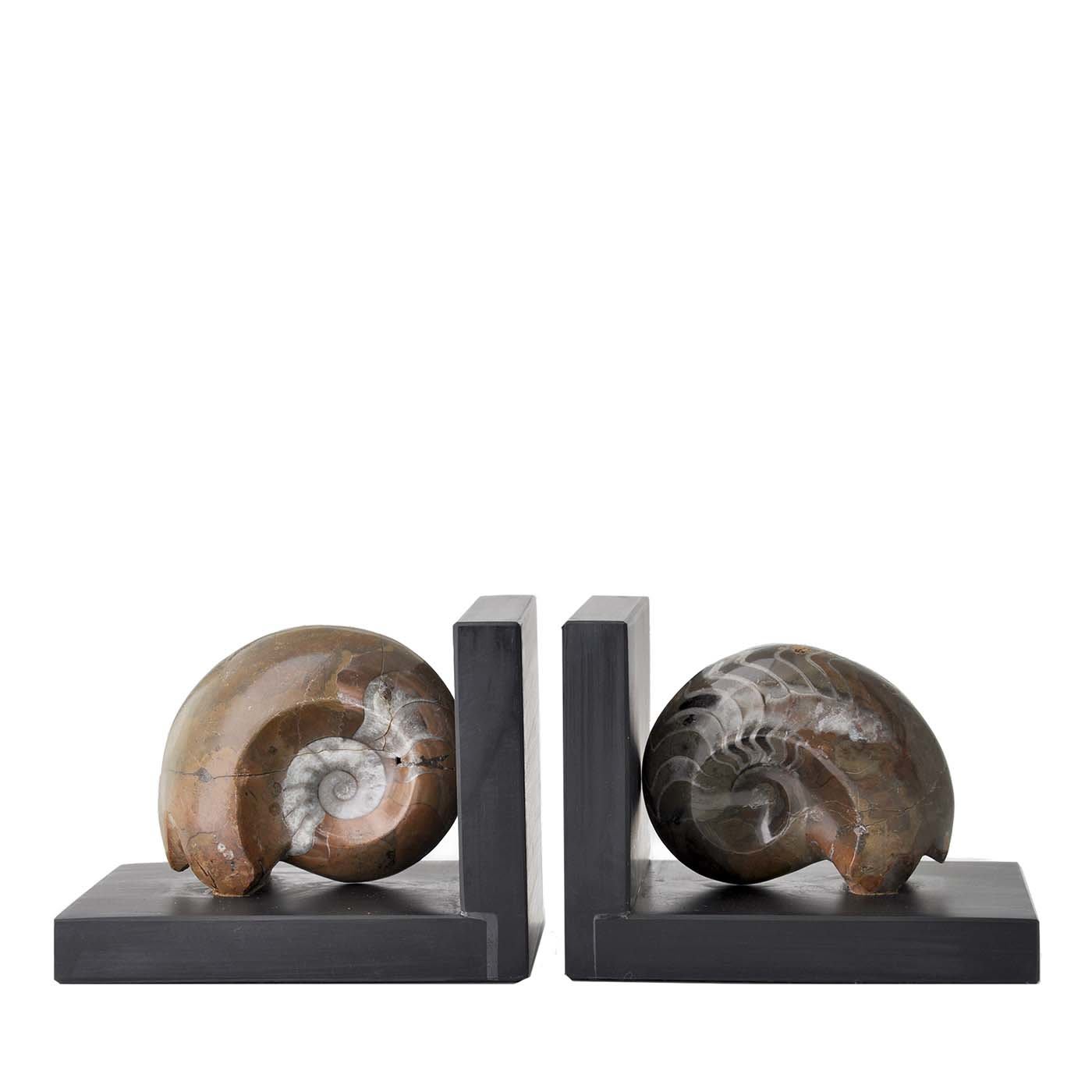 Fossiline Brown Shell Bookends by Nino Basso - Design Center 1991