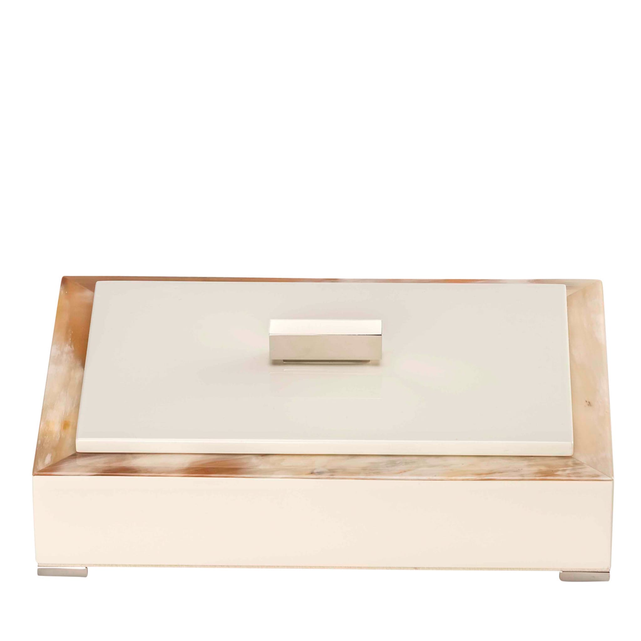 Ivory Small Storage Box - Main view