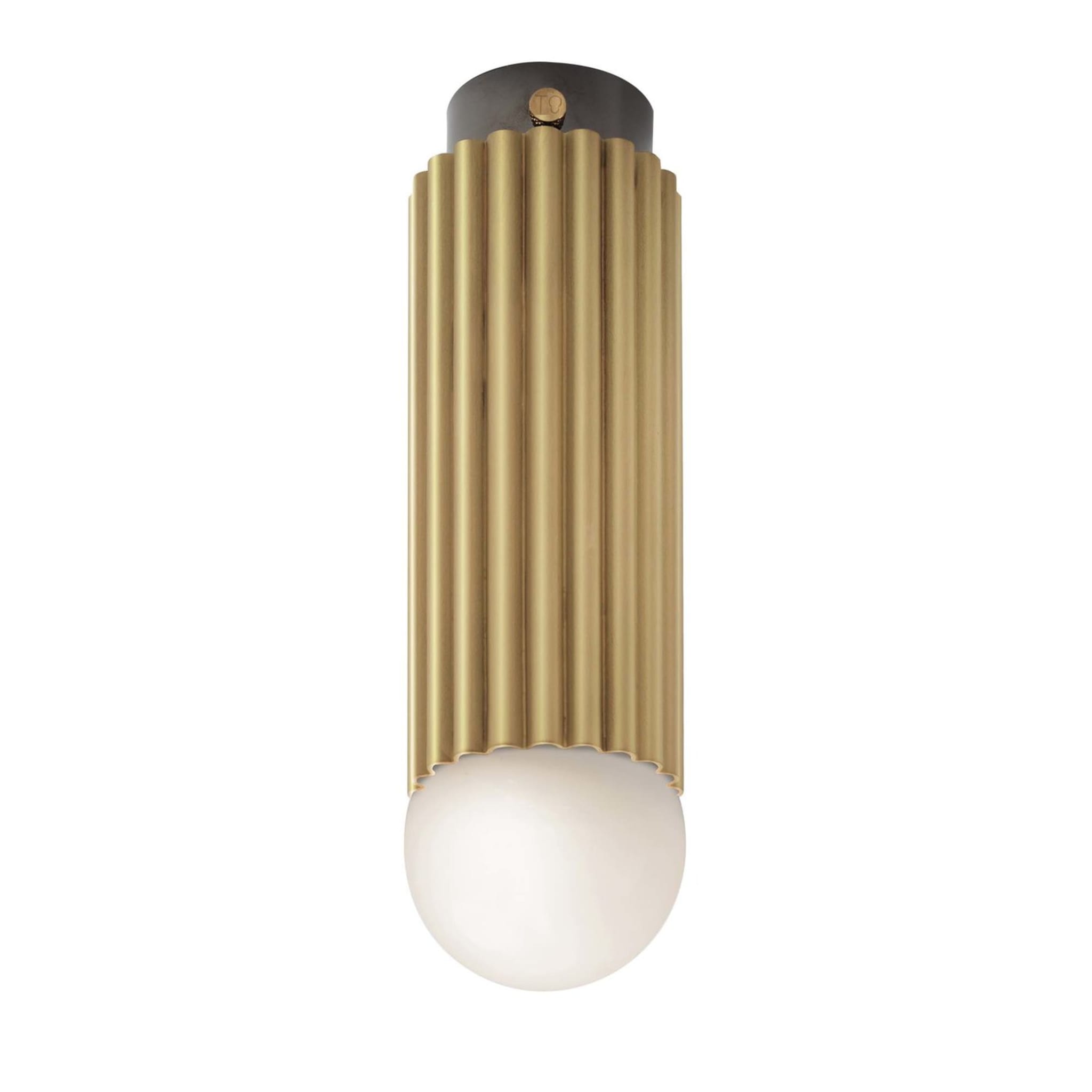 Lustrin Ceiling Lamp by Isacco Brioschi - Main view