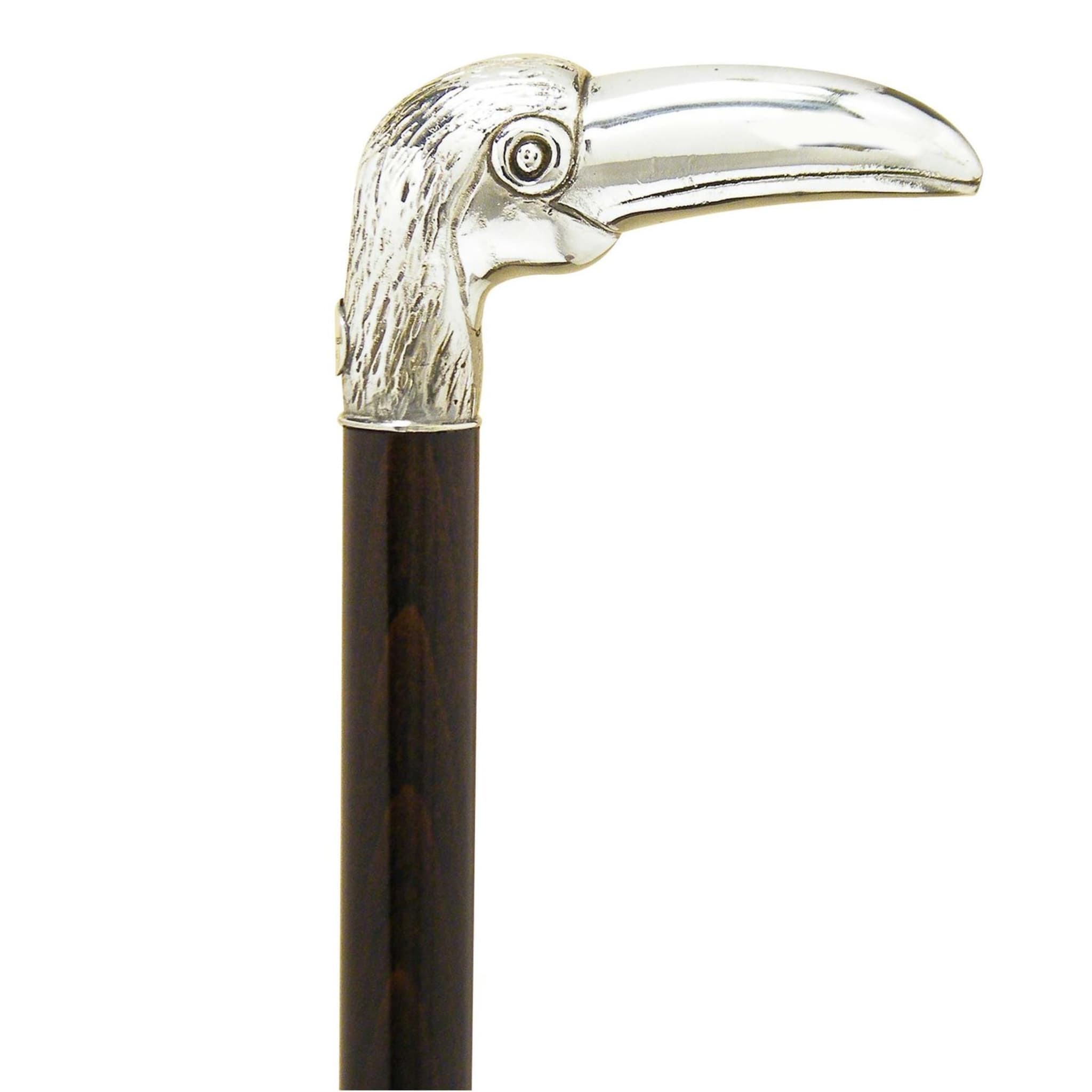 Toucan Walking Stick - Main view