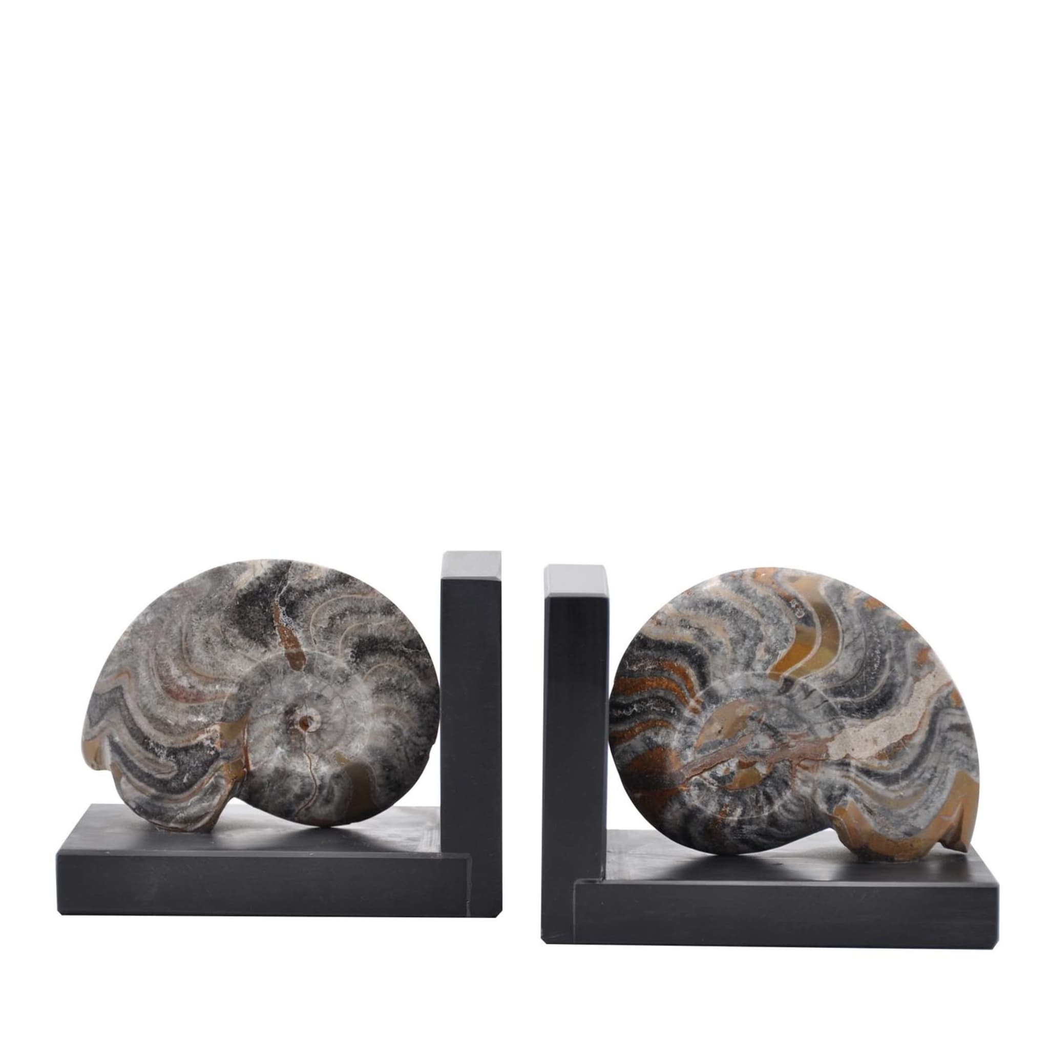 Sculpture de serre-livres fossiles #3 par Nino Basso - Vue principale