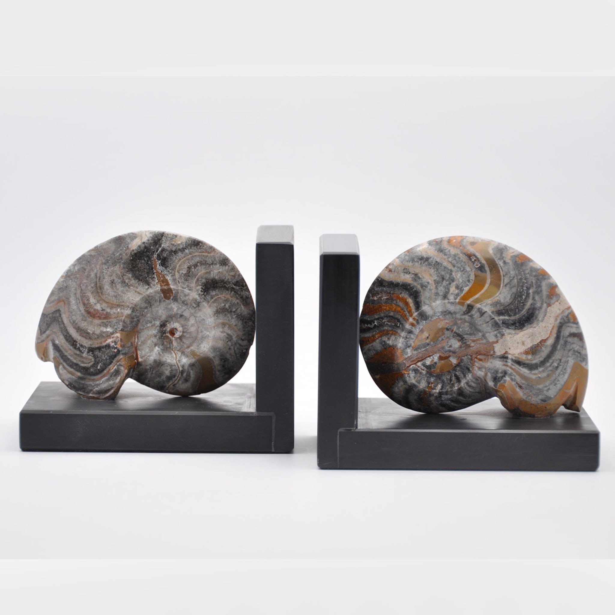 Fossiline Bookends sculpture #3 by Nino Basso - Alternative view 1