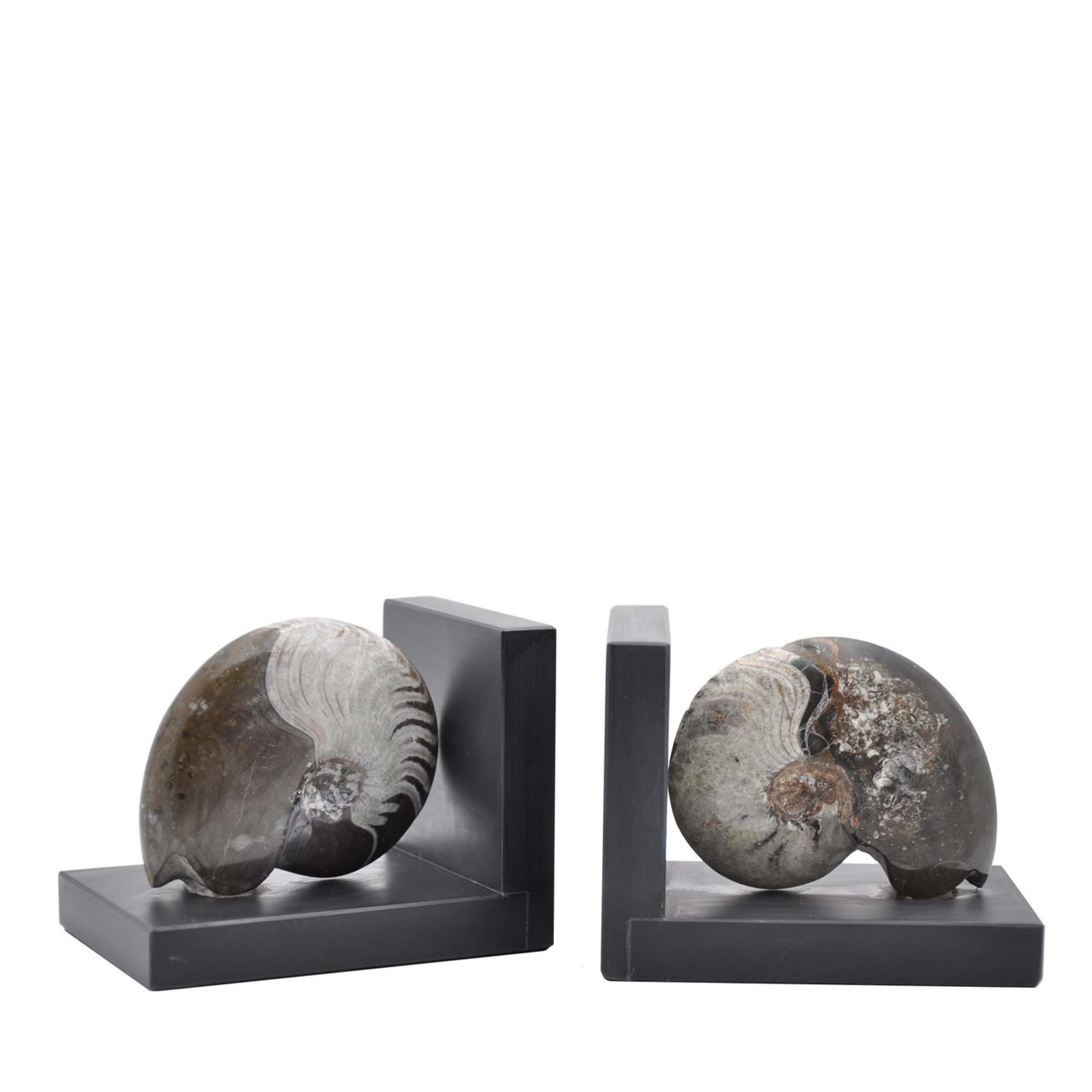 Fossiline Bookends sculpture #4 by Nino Basso - Main view