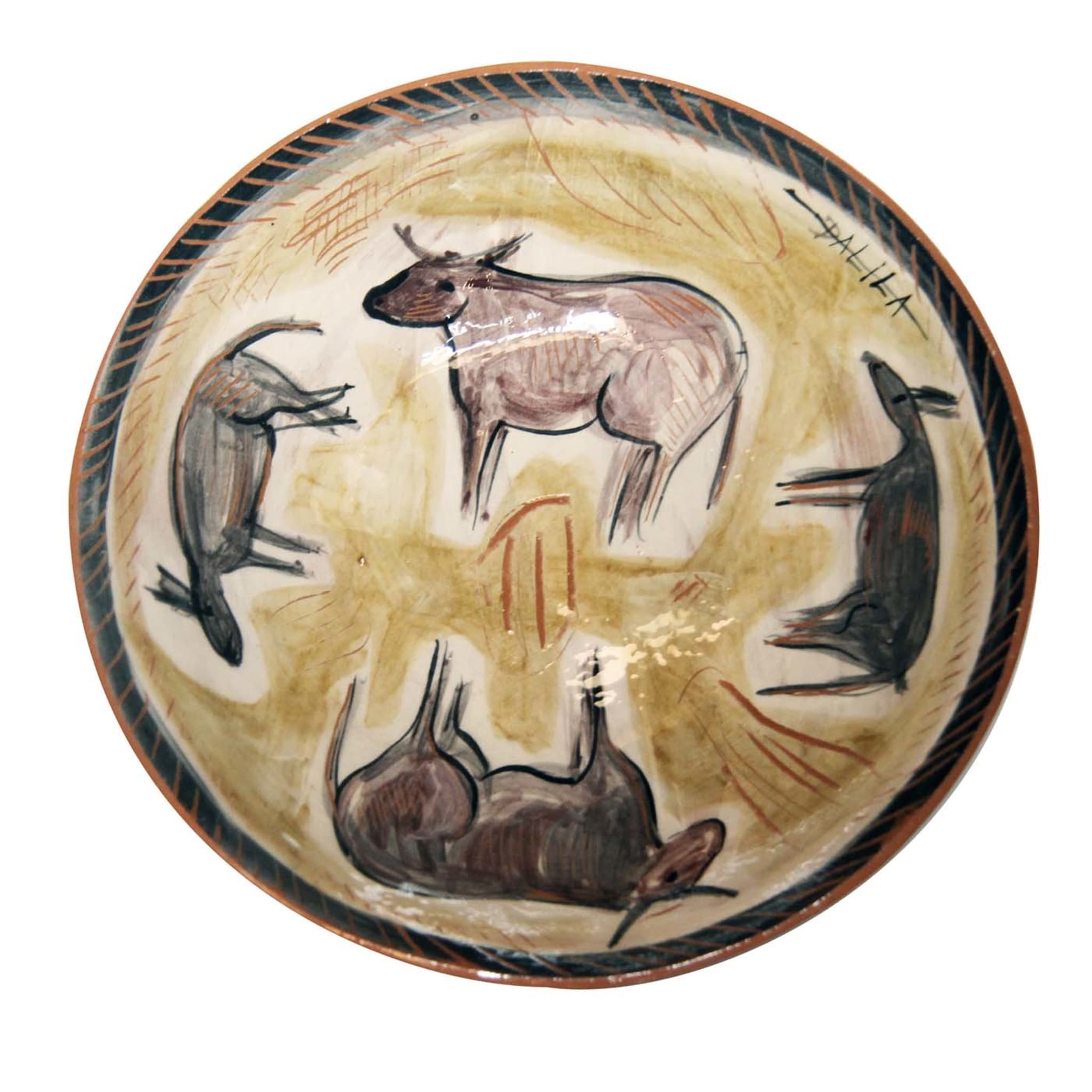 Sezione Origini Plate #2 - Main view