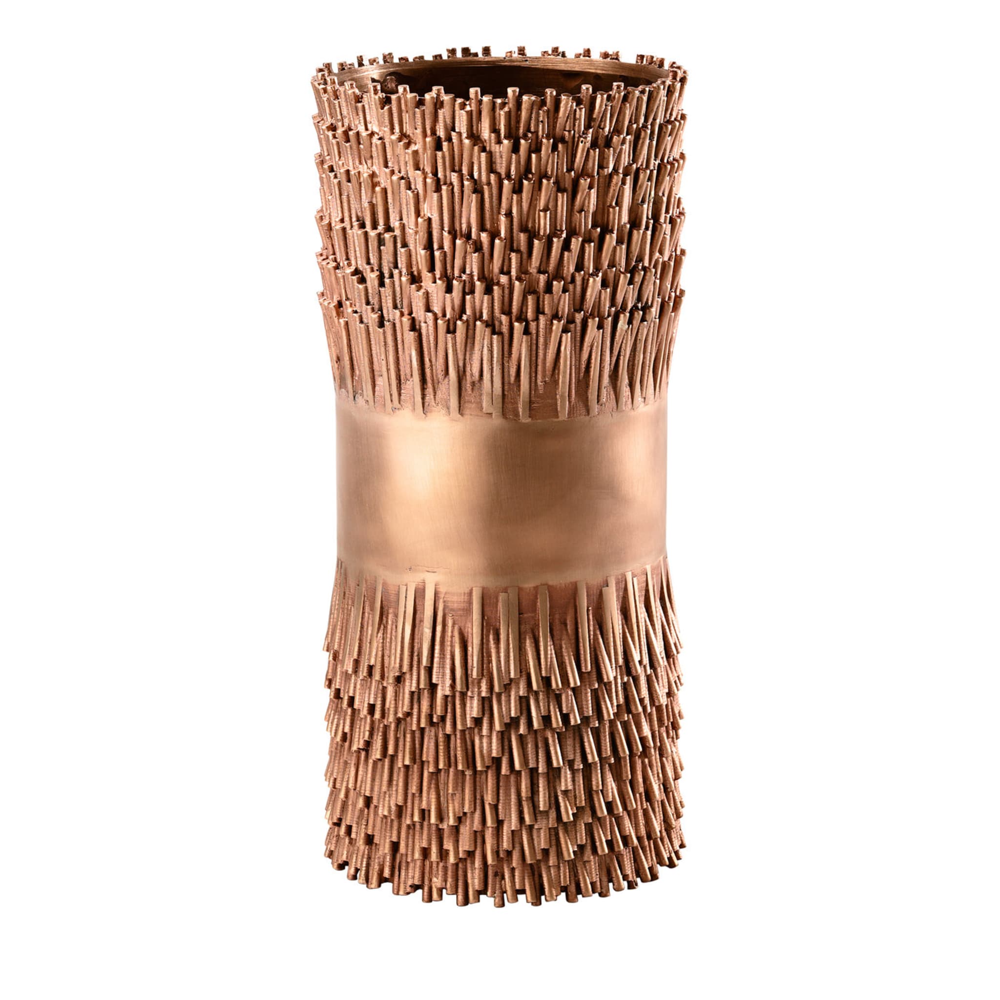 Jack Fruit Bronze Vase By Campana Brothers - Main view