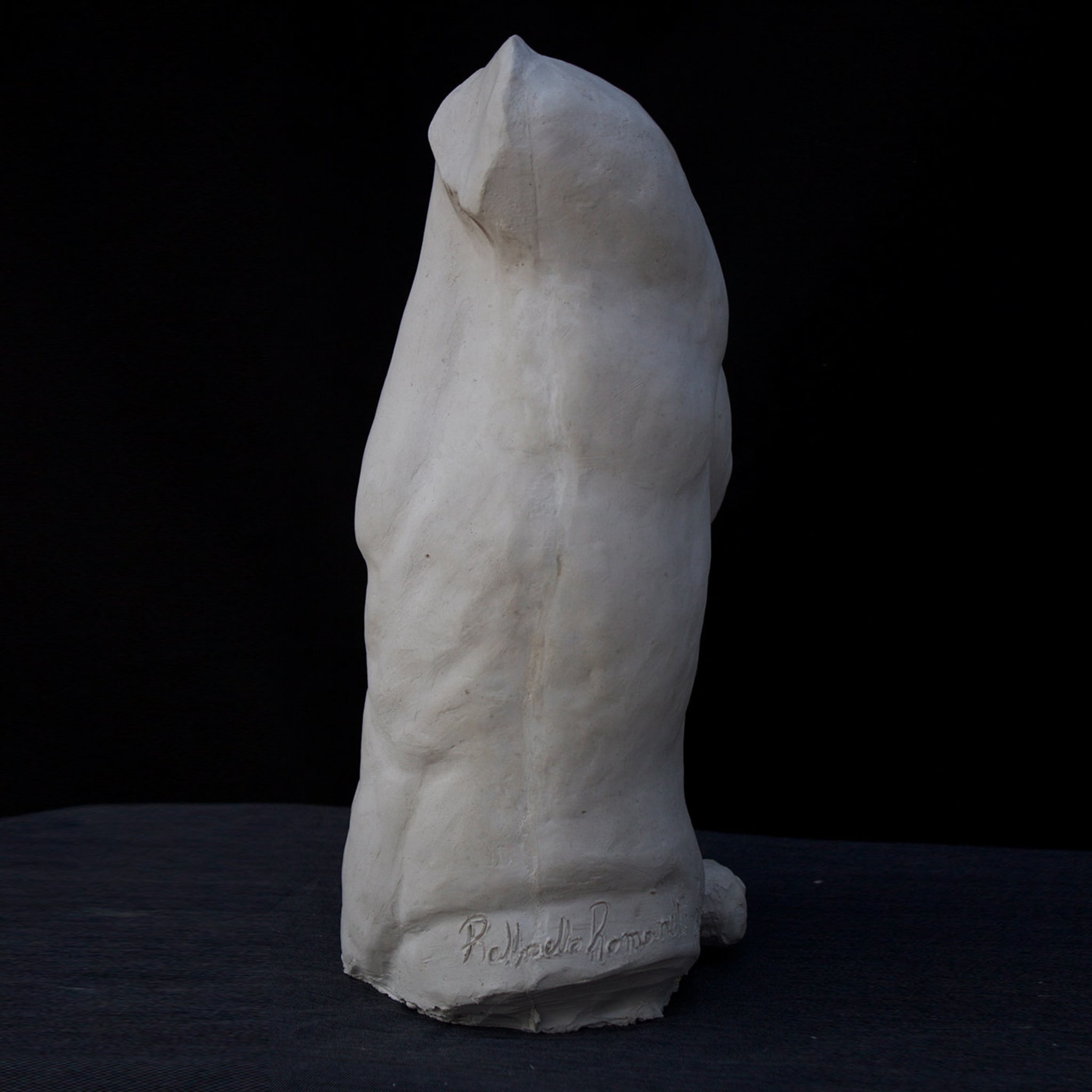 Fauno Torso Petite sculpture en plâtre - Vue alternative 1