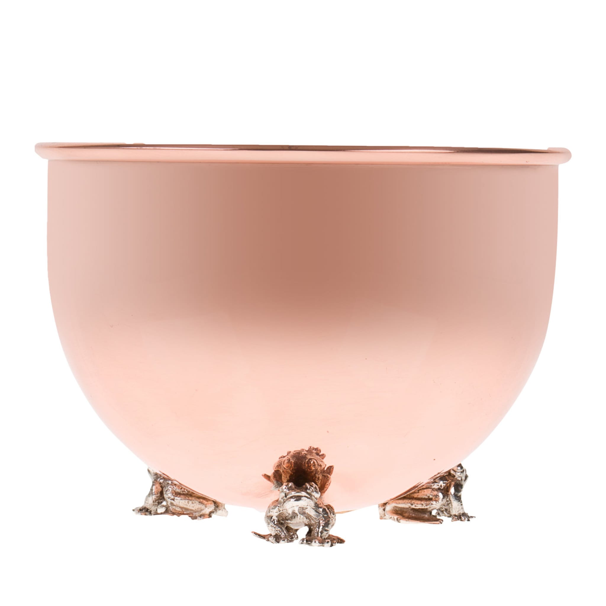 Copper Bowl with Silver Frogs - Alternative view 1