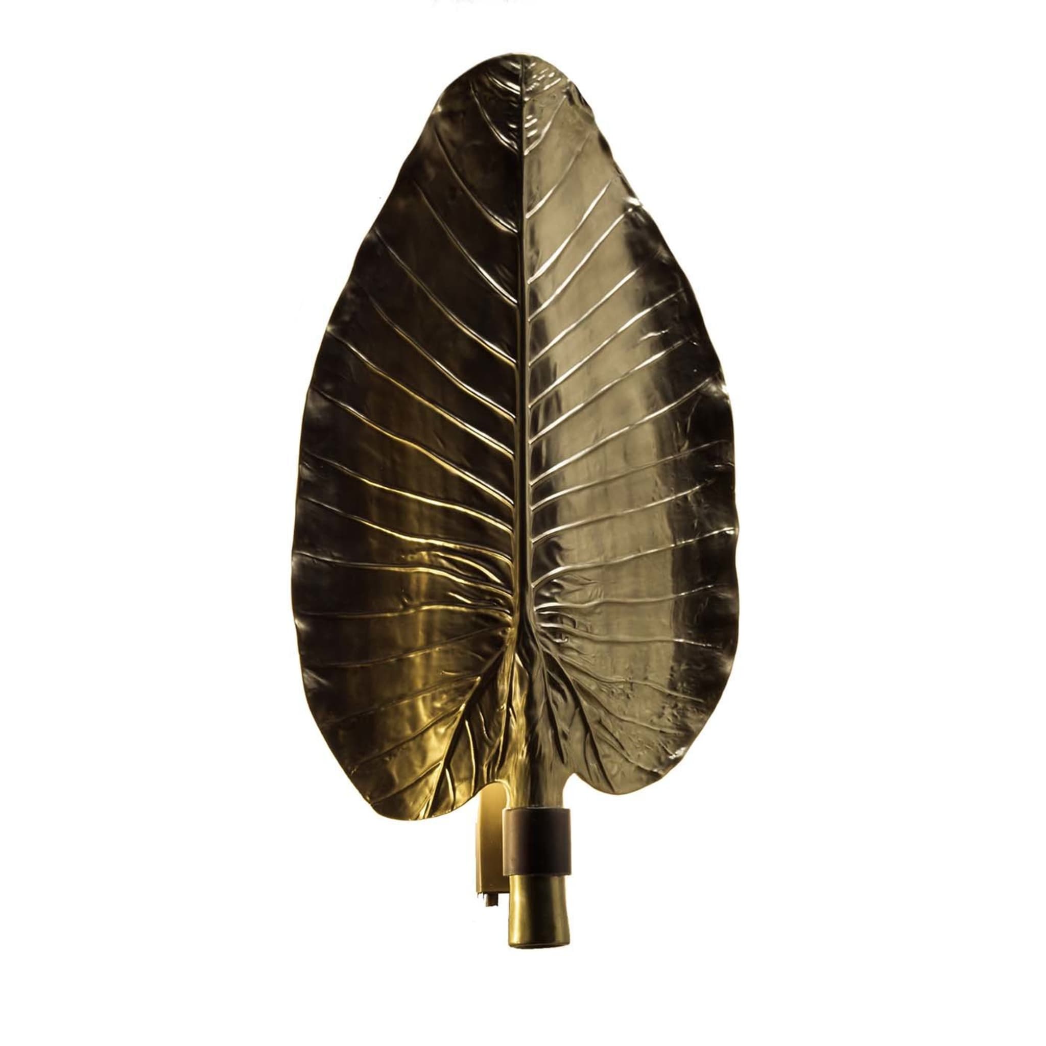 Acapulco Gold Sconce - Main view