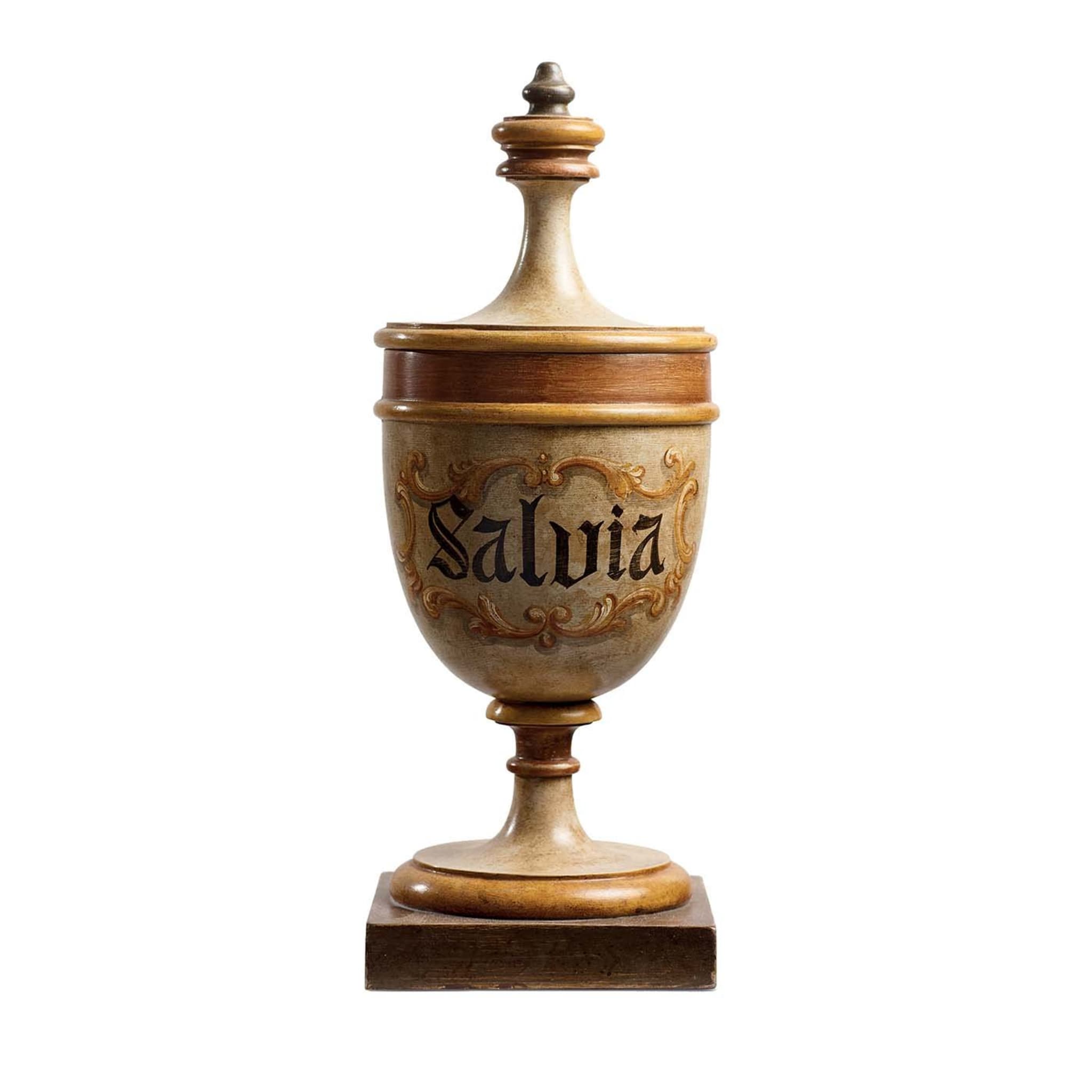 Salvia Dekorative Vase - Hauptansicht