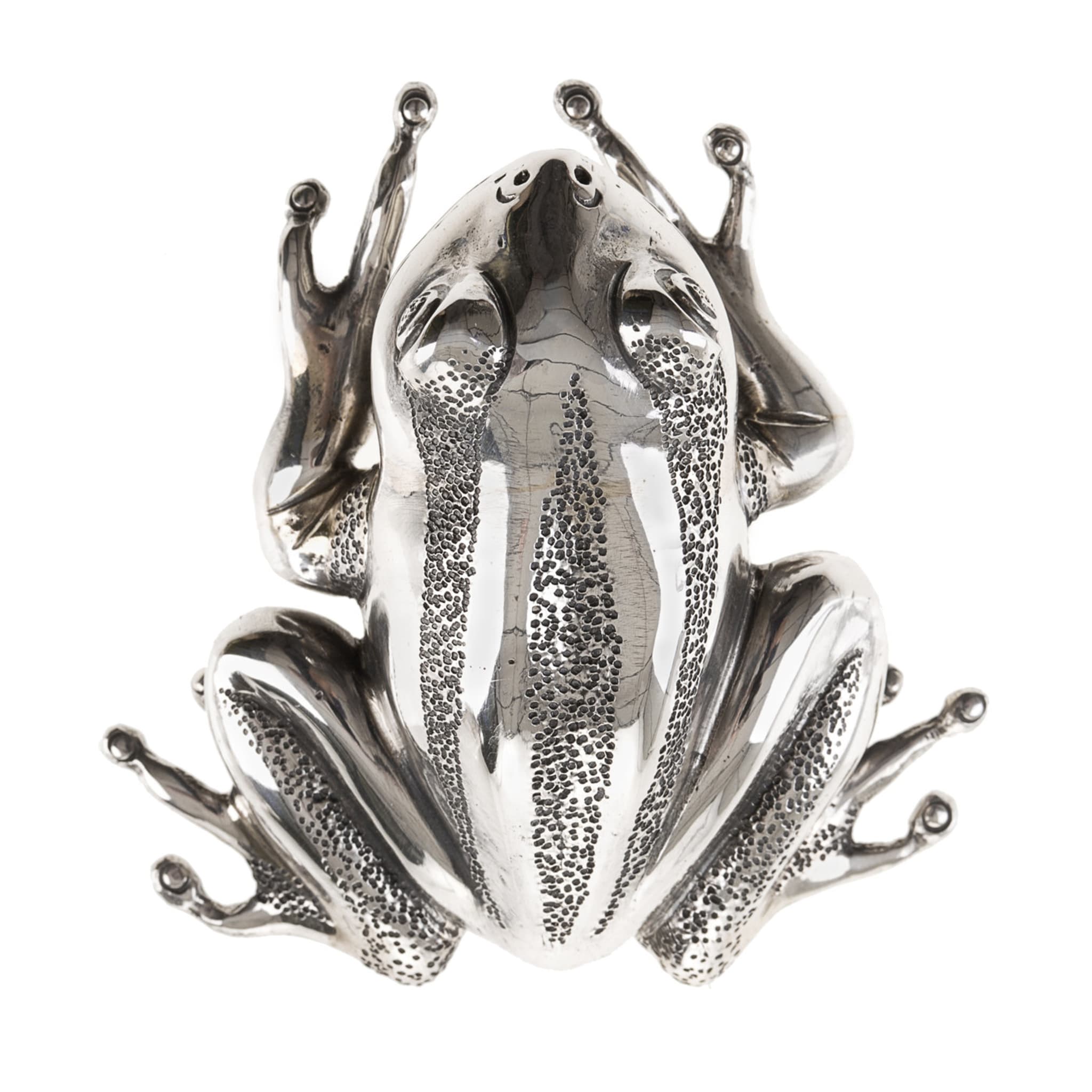 Ila Sterling Silver Frog - Main view