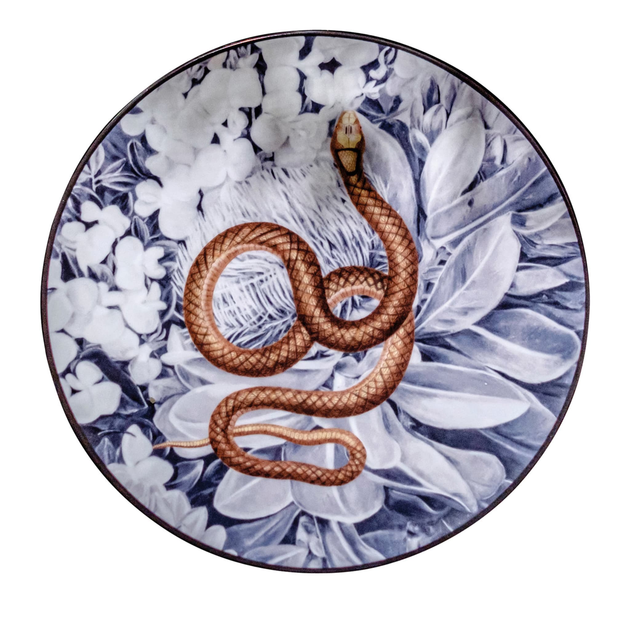 Ménagerie du serpent Assiette plate en porcelaine Ottomane - Vue principale