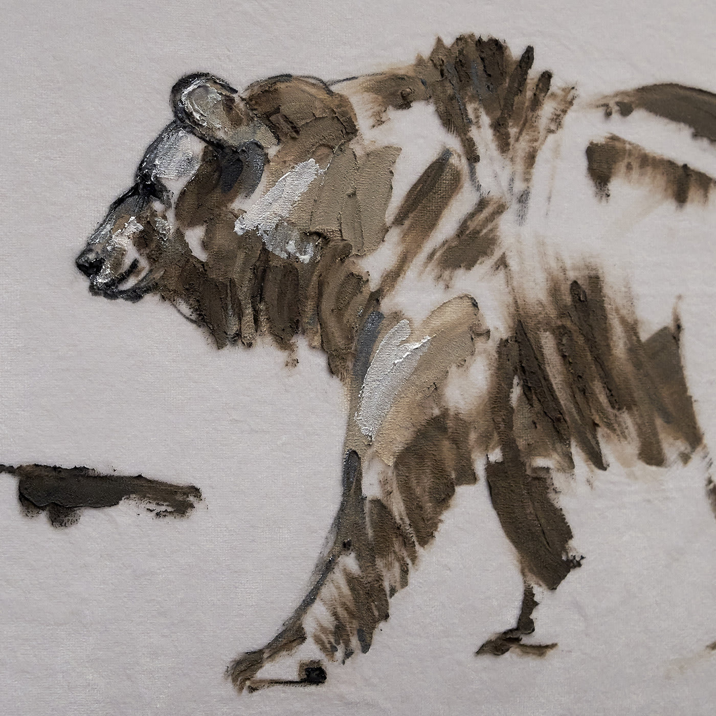 Sketch Bear Sconce - Luci di Seta