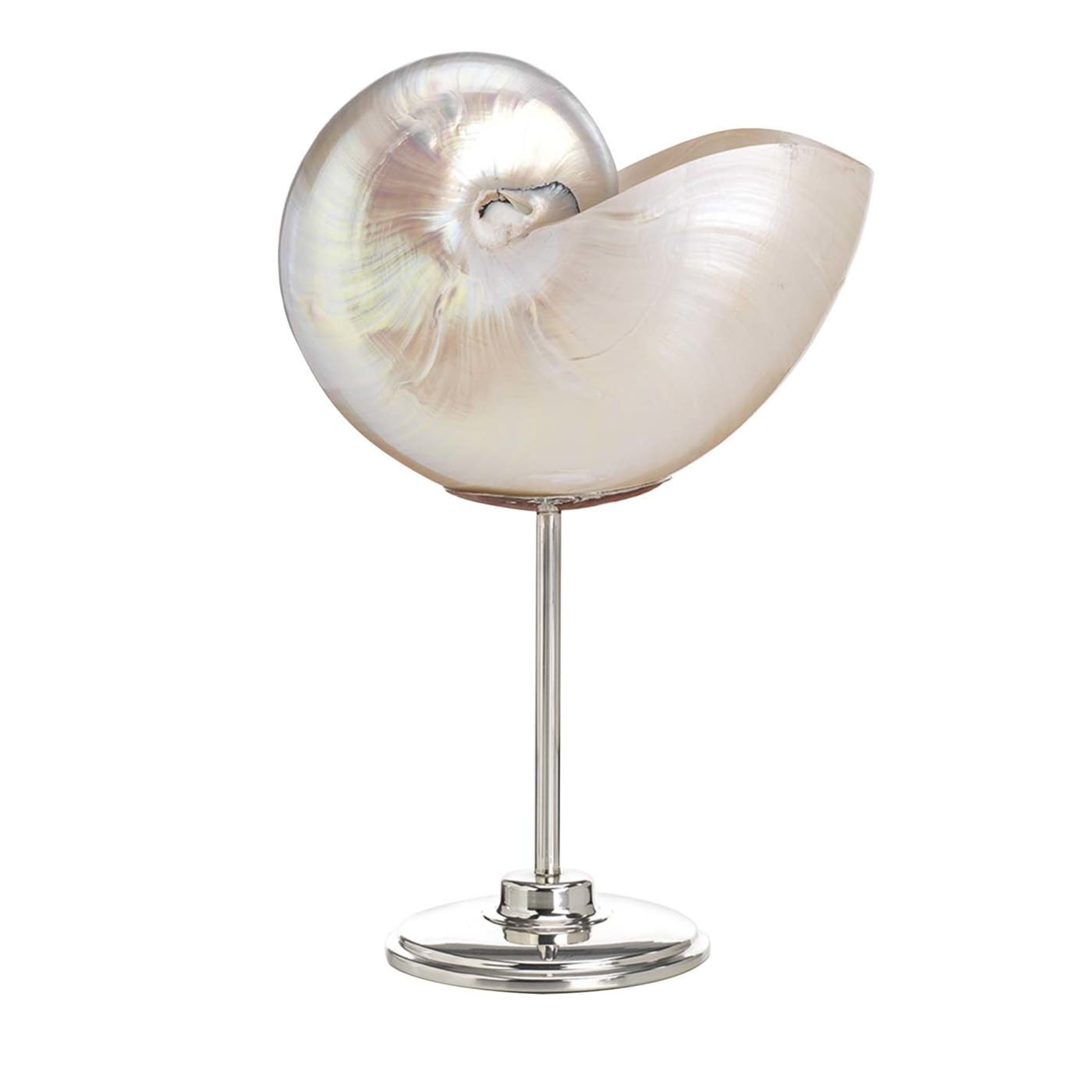 Large Nautilus Shell Bowl On Stand